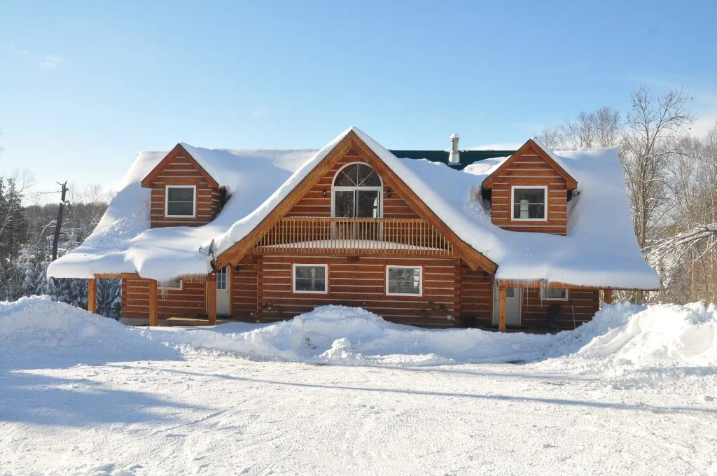 EcoLog Double Wing Winter.jpg