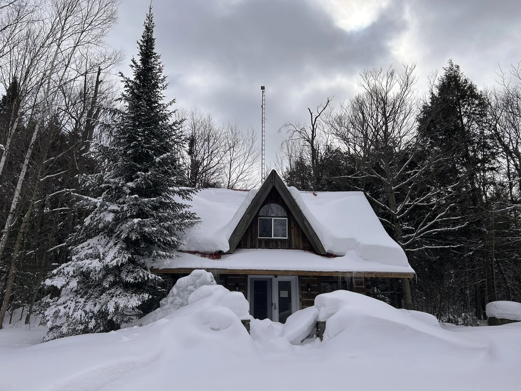 EcoLog Old Chestnut Park_Winter.JPEG