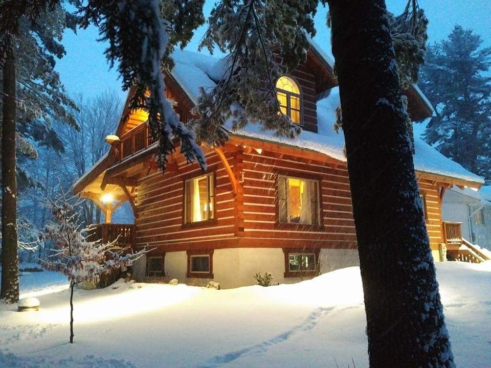 EcoLog Winter 24x32-min.jpg