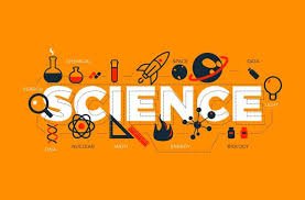 Keep the Curiosity Going: Easy Ways to Keep Up with Science This Summer