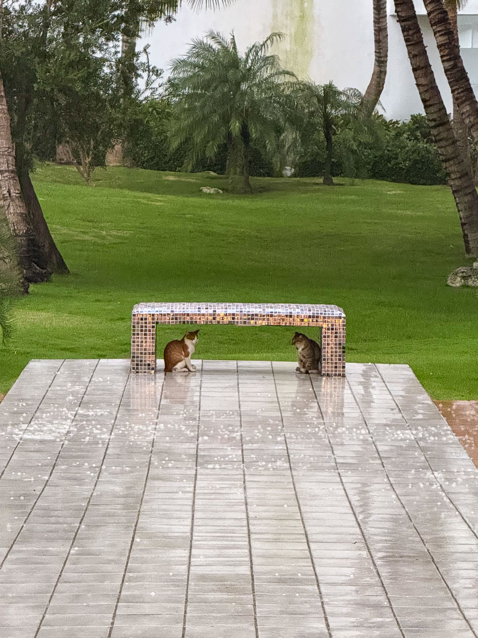 Kileen D.R. Vacation-1.jpg