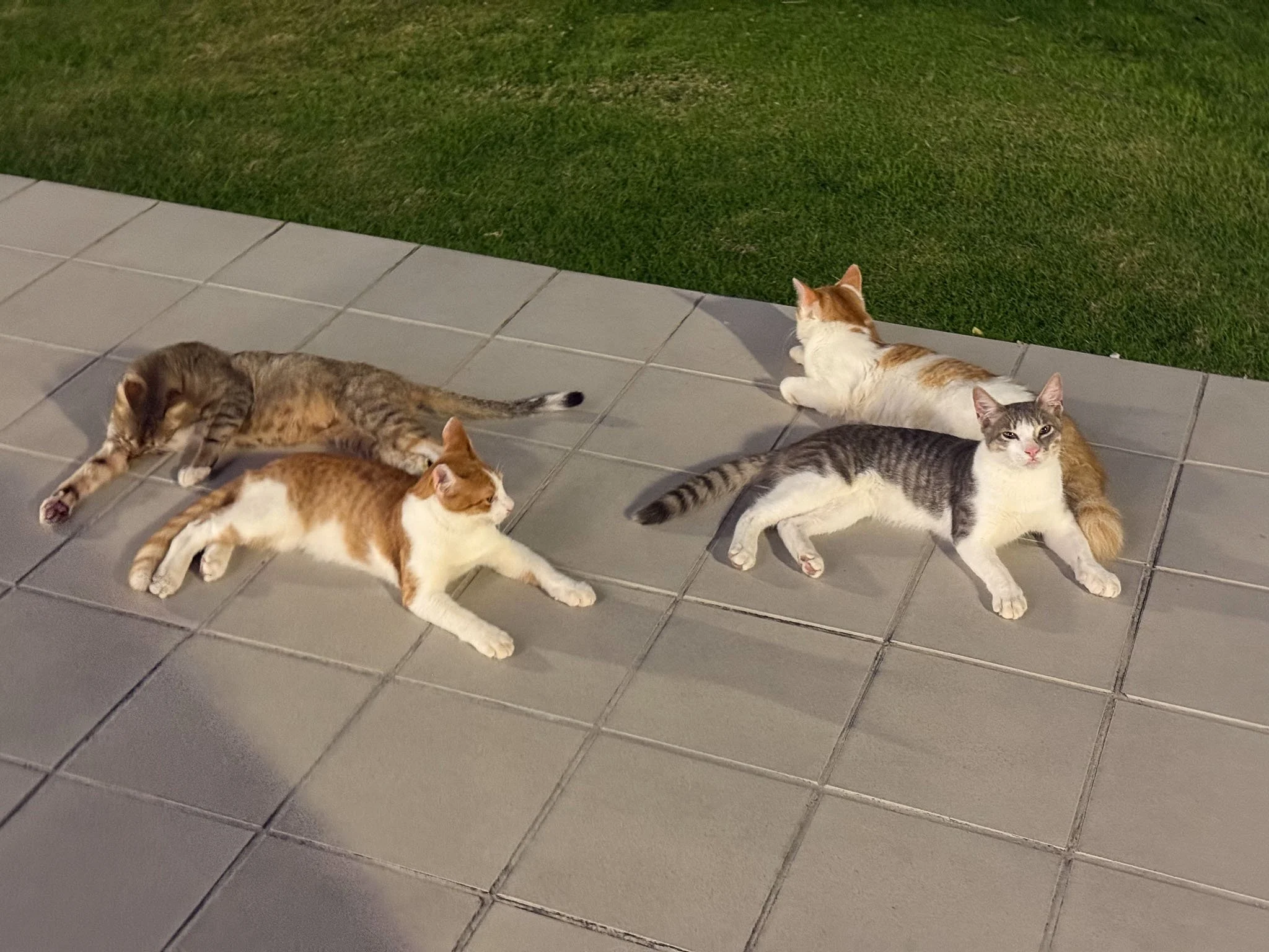 Kileen D.R. Vacation-3.jpg