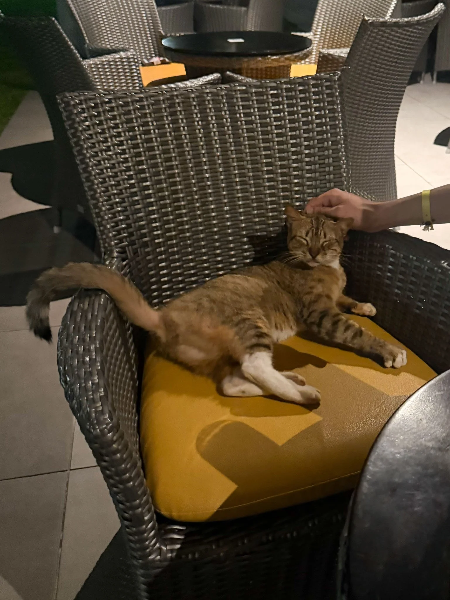 Kileen D.R. Vacation-07.jpg