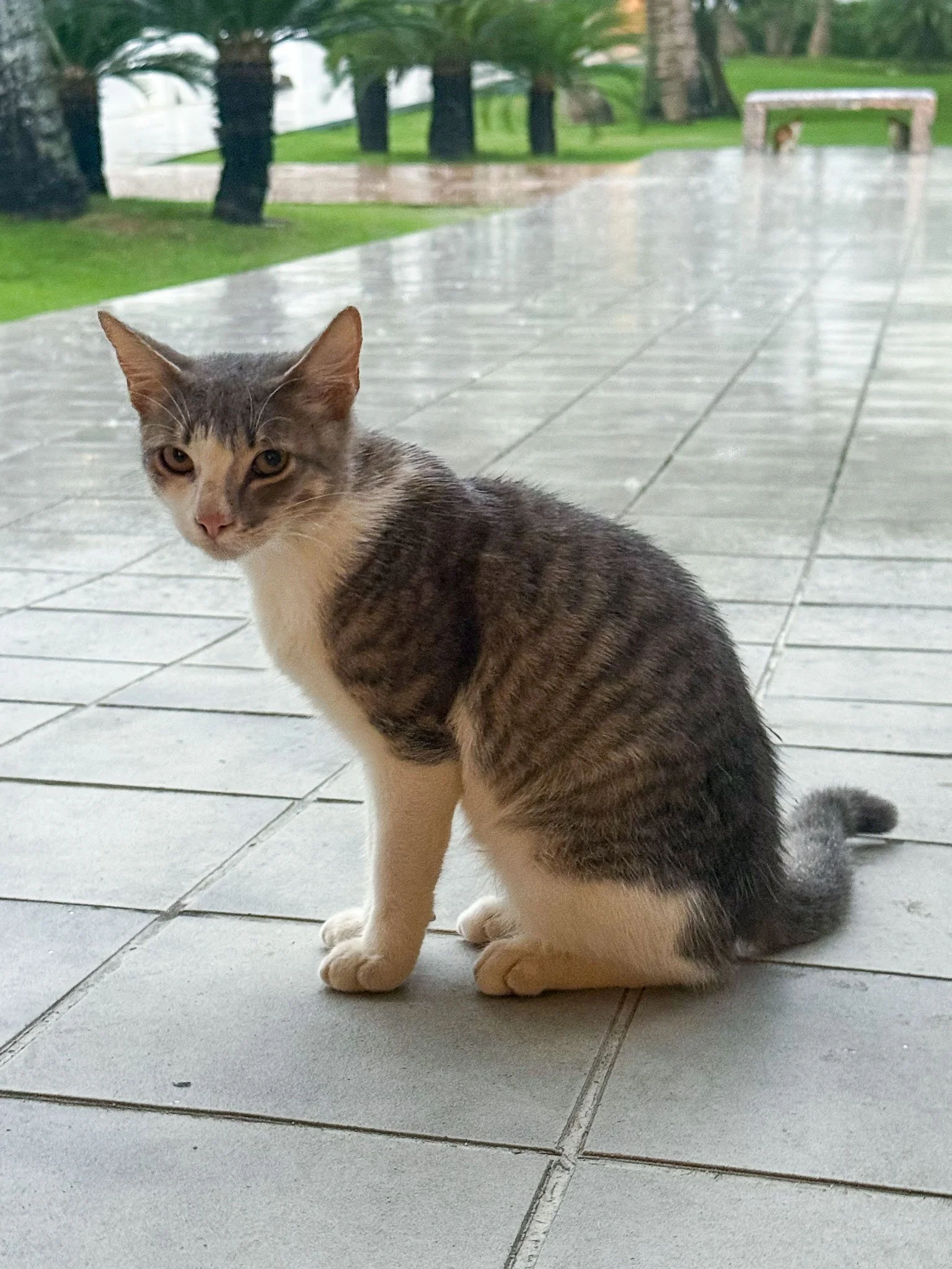 Kileen D.R. Vacation-11.jpg