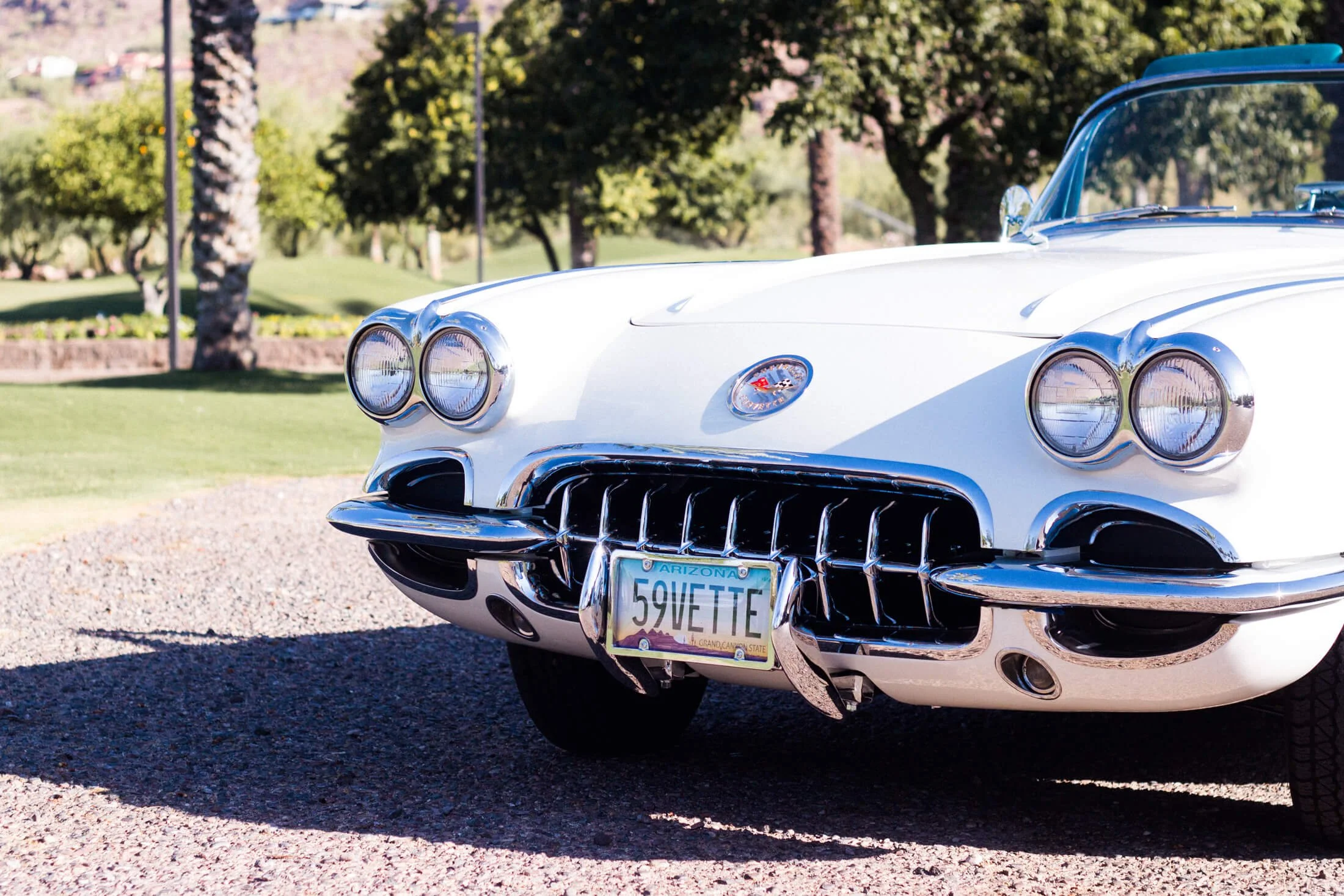 Front view of a vintage white and turquoise 1959 Corvette with dual headlights and a chrome grille, parked on a gravel surface with green trees and a park in the background.