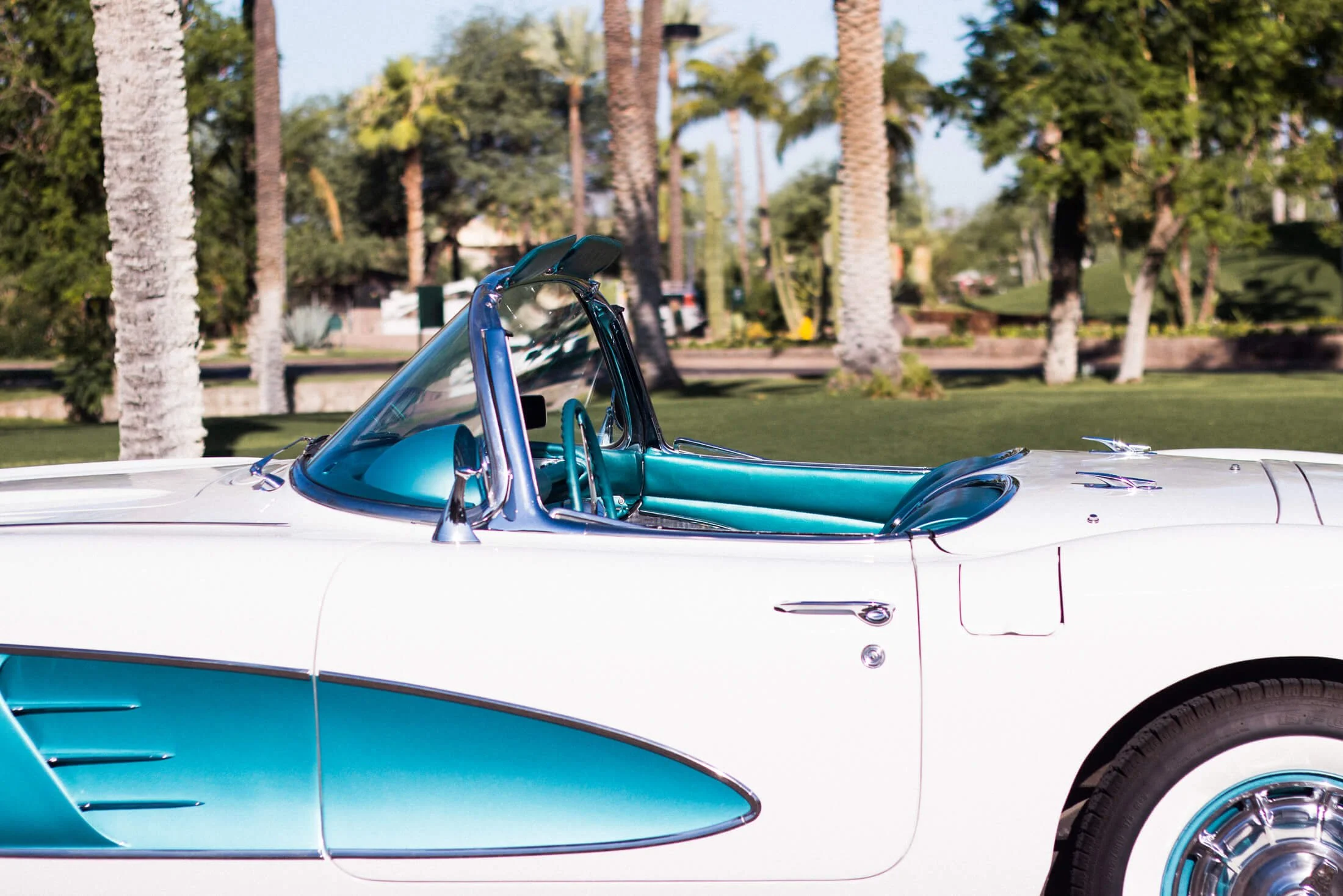 Side view of a vintage white and turquoise 1959 Corvette convertible car parked in front of a park with palm trees and grass.