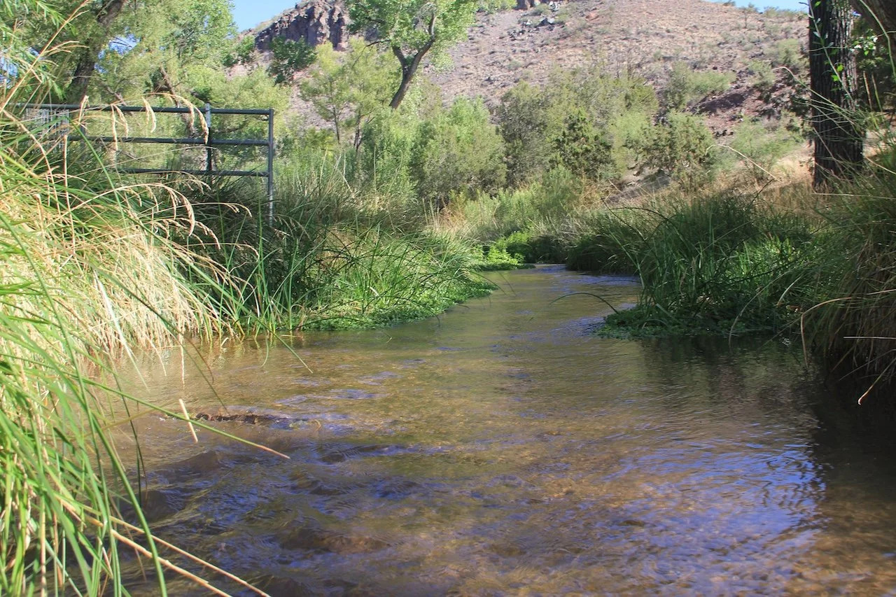 Regenerative Agriculture: Protecting Sacred Land, Improving Ecosystems