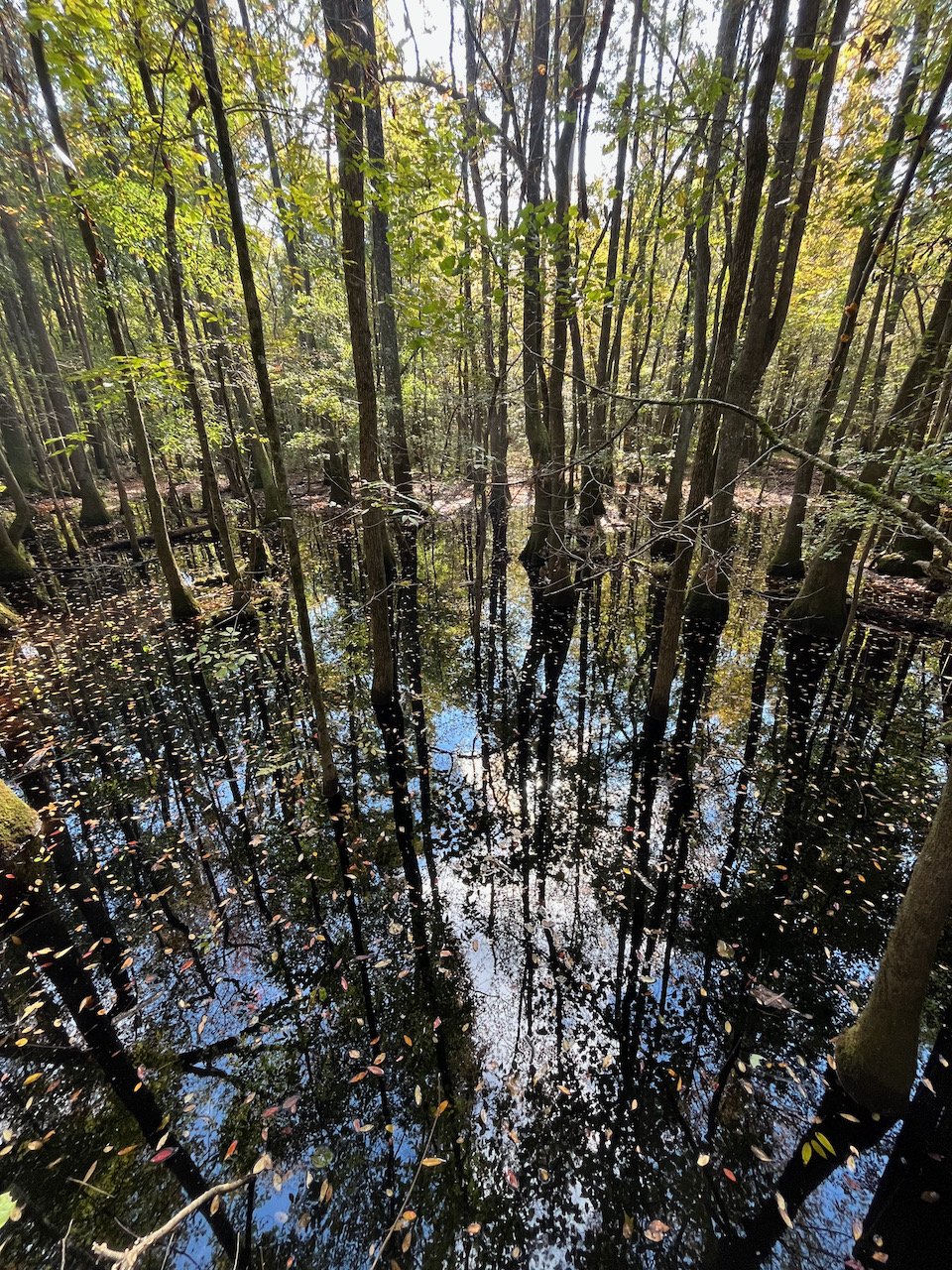 %4 Rule: Retirement Planning