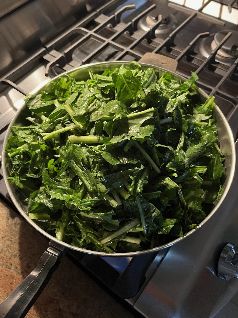 Macronutrients for Healthy Living