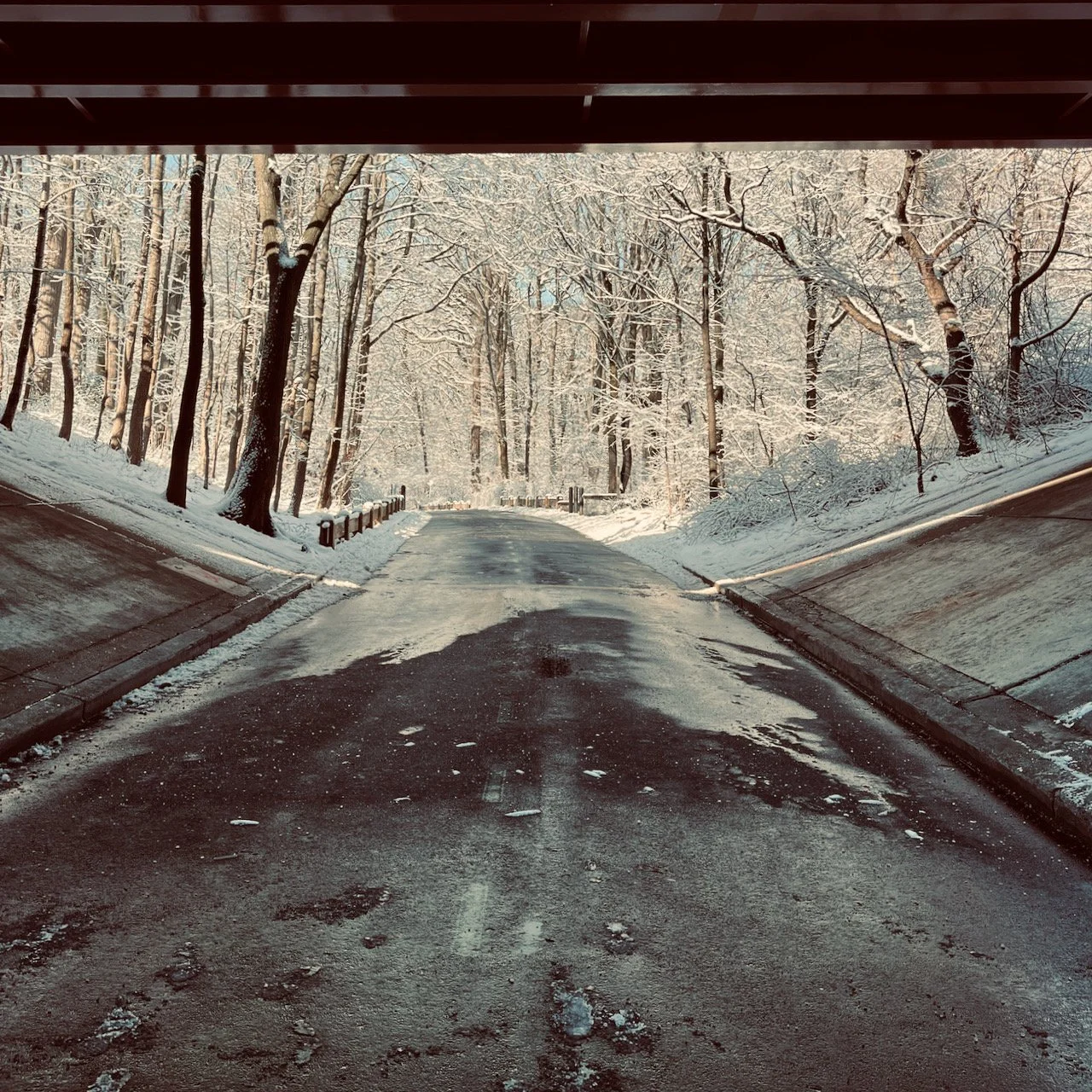 Cows Don’t Drink Milk