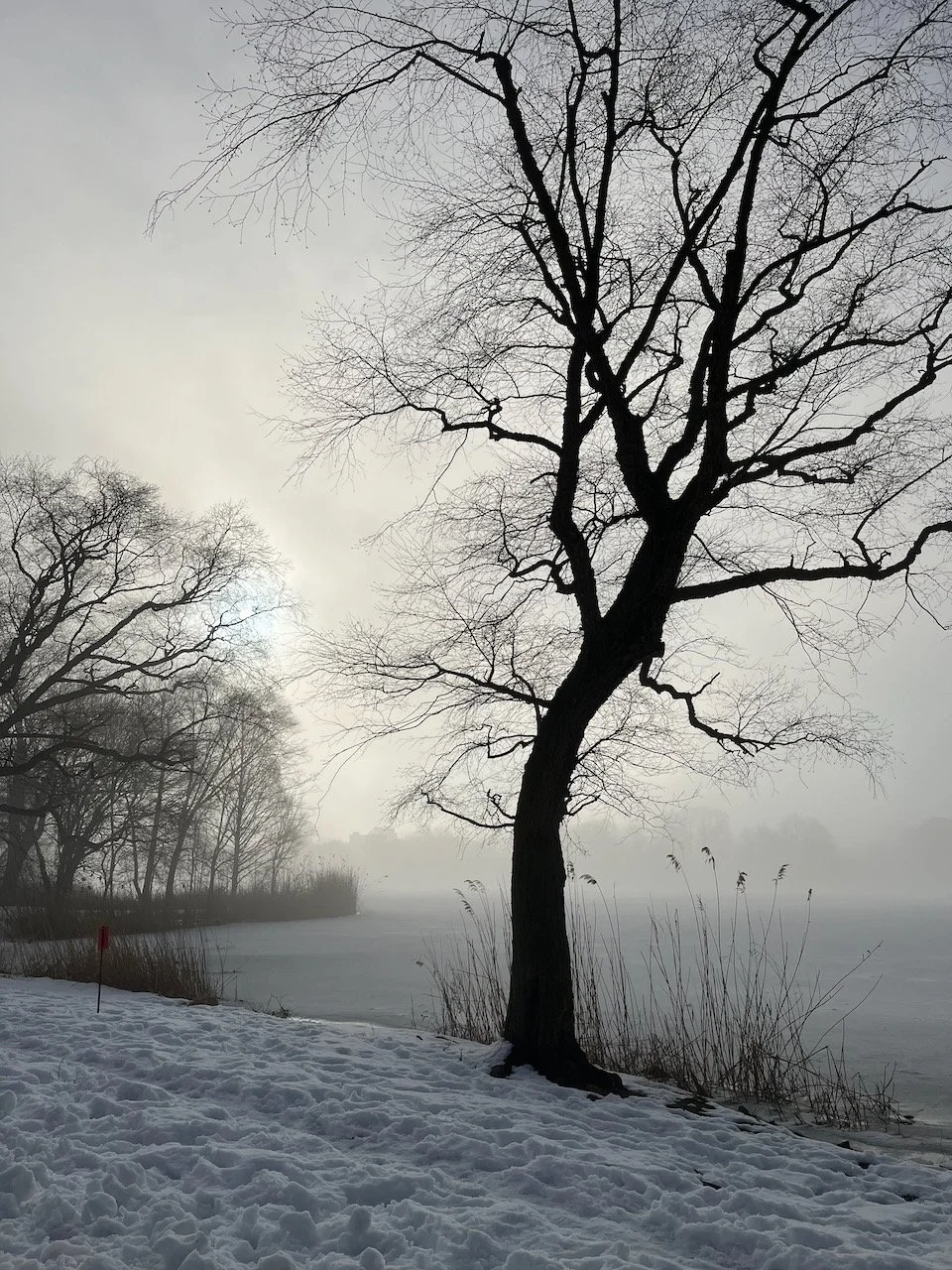 Live Like Your Life Depended On It