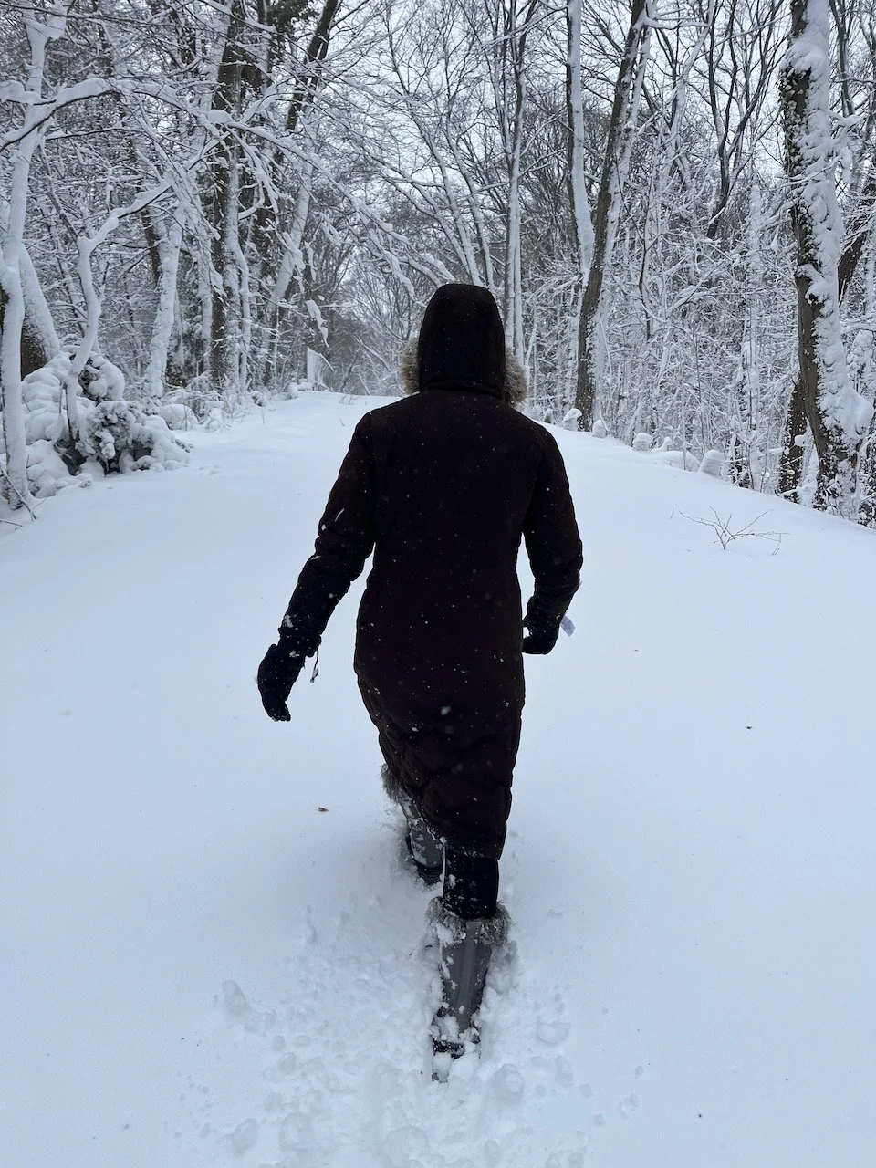 🍬 Your Body on Sugar