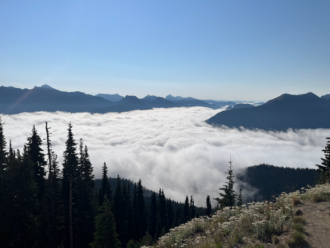 🌱 Health &amp; Happiness: You Are In Charge