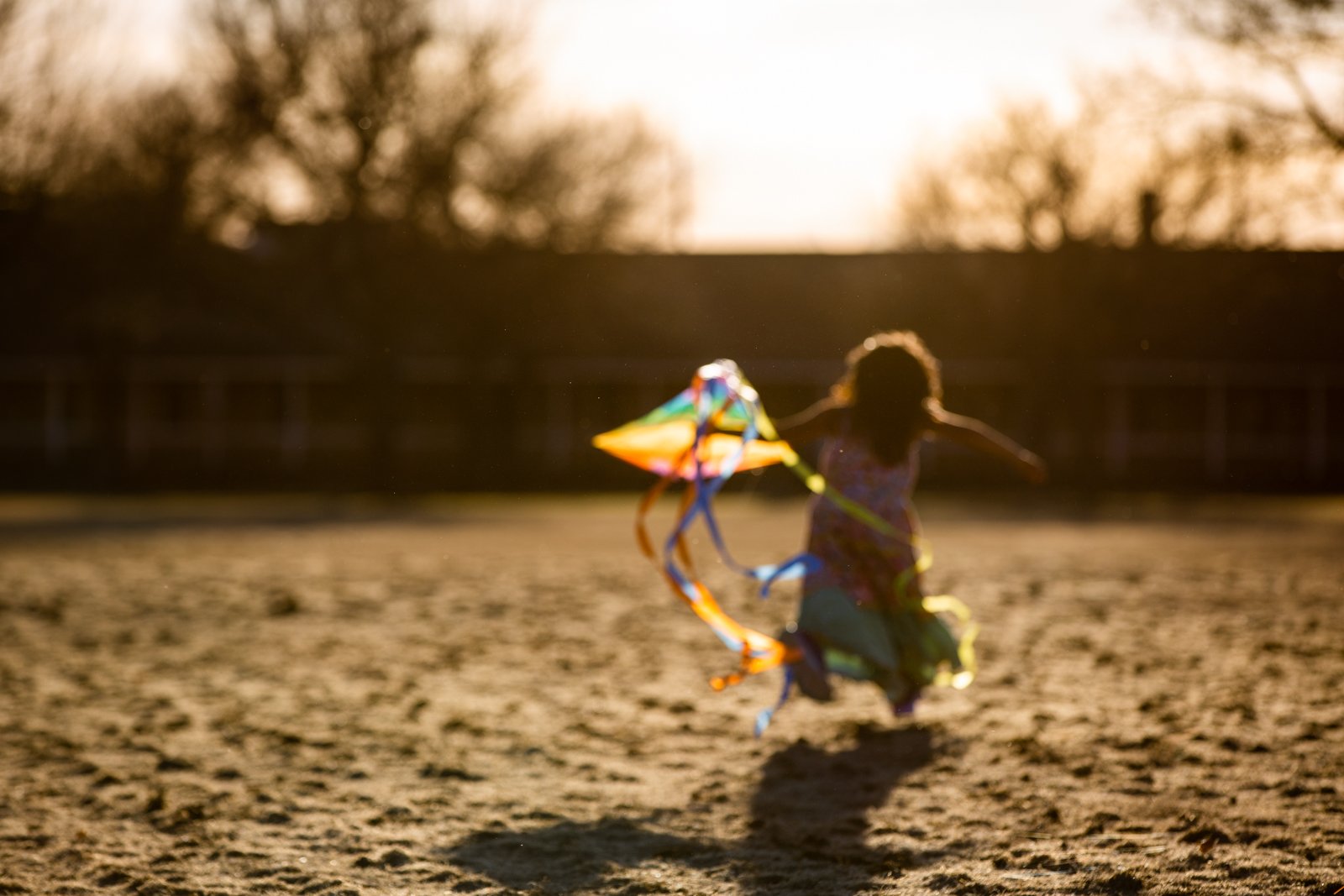 kite in the sun.jpg