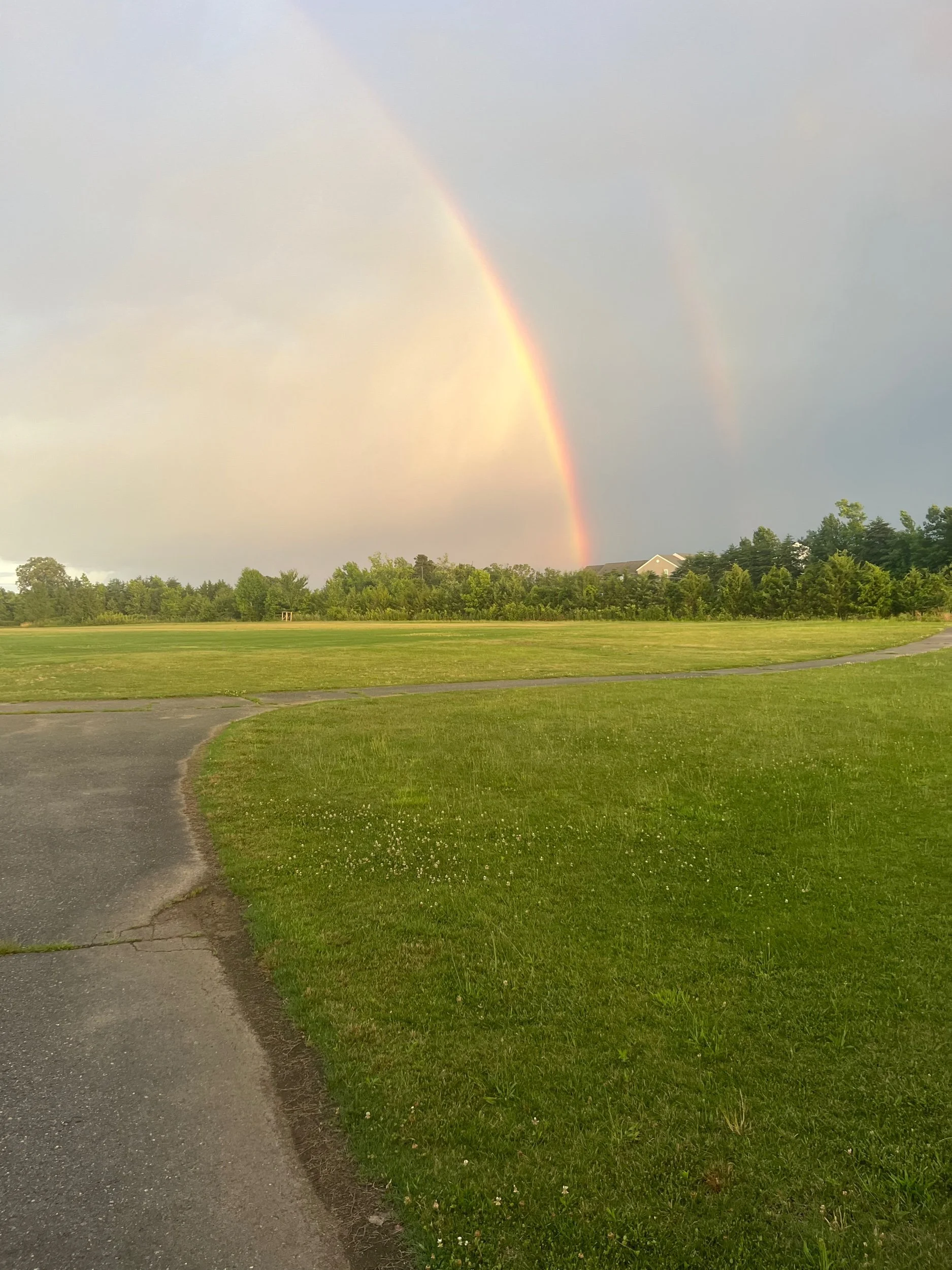 I’ve been running everyday for 230 days