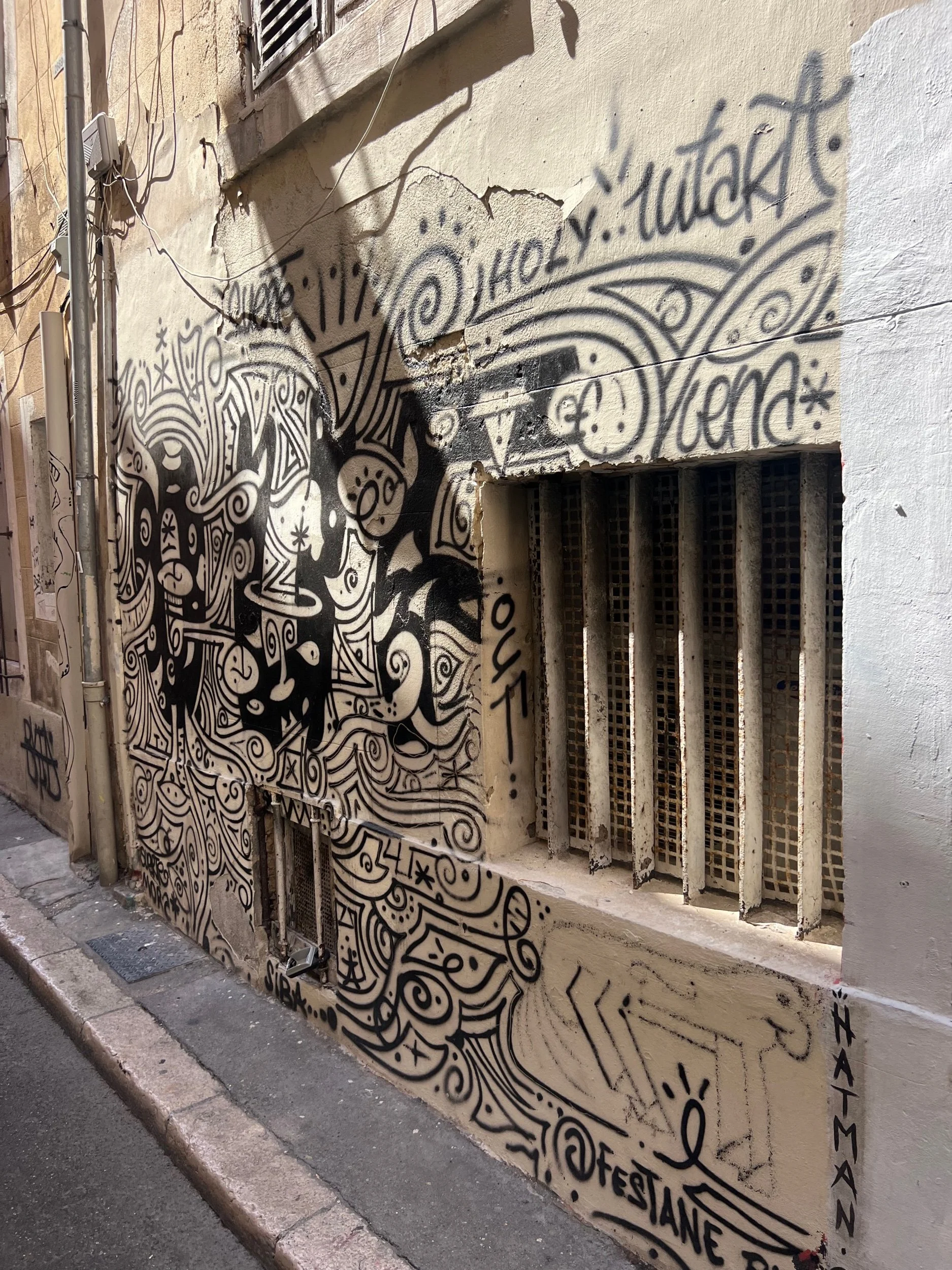 Daily Movement Practice