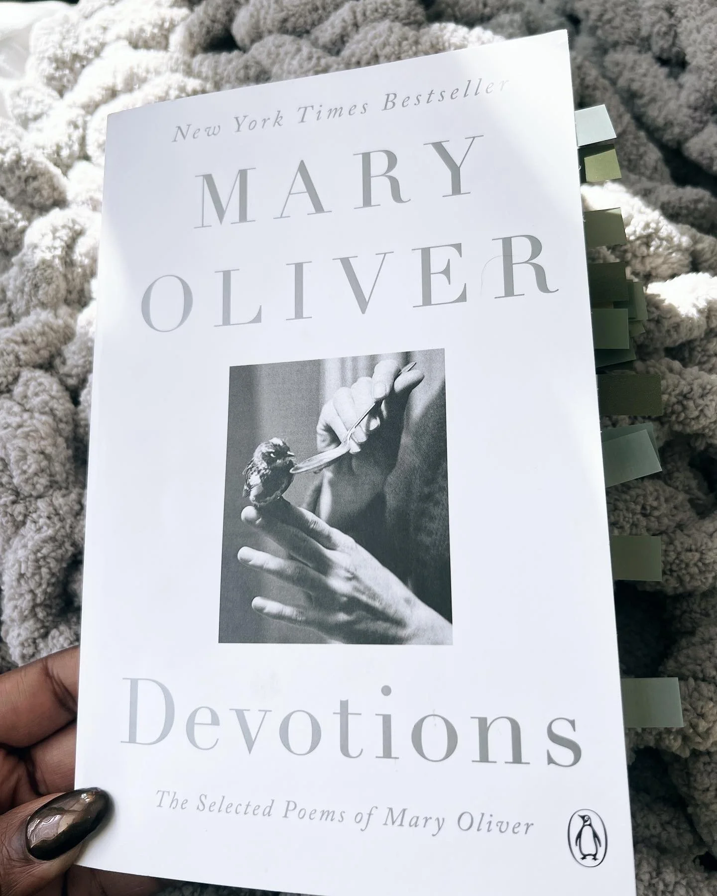 392 Days of Daily Movement 