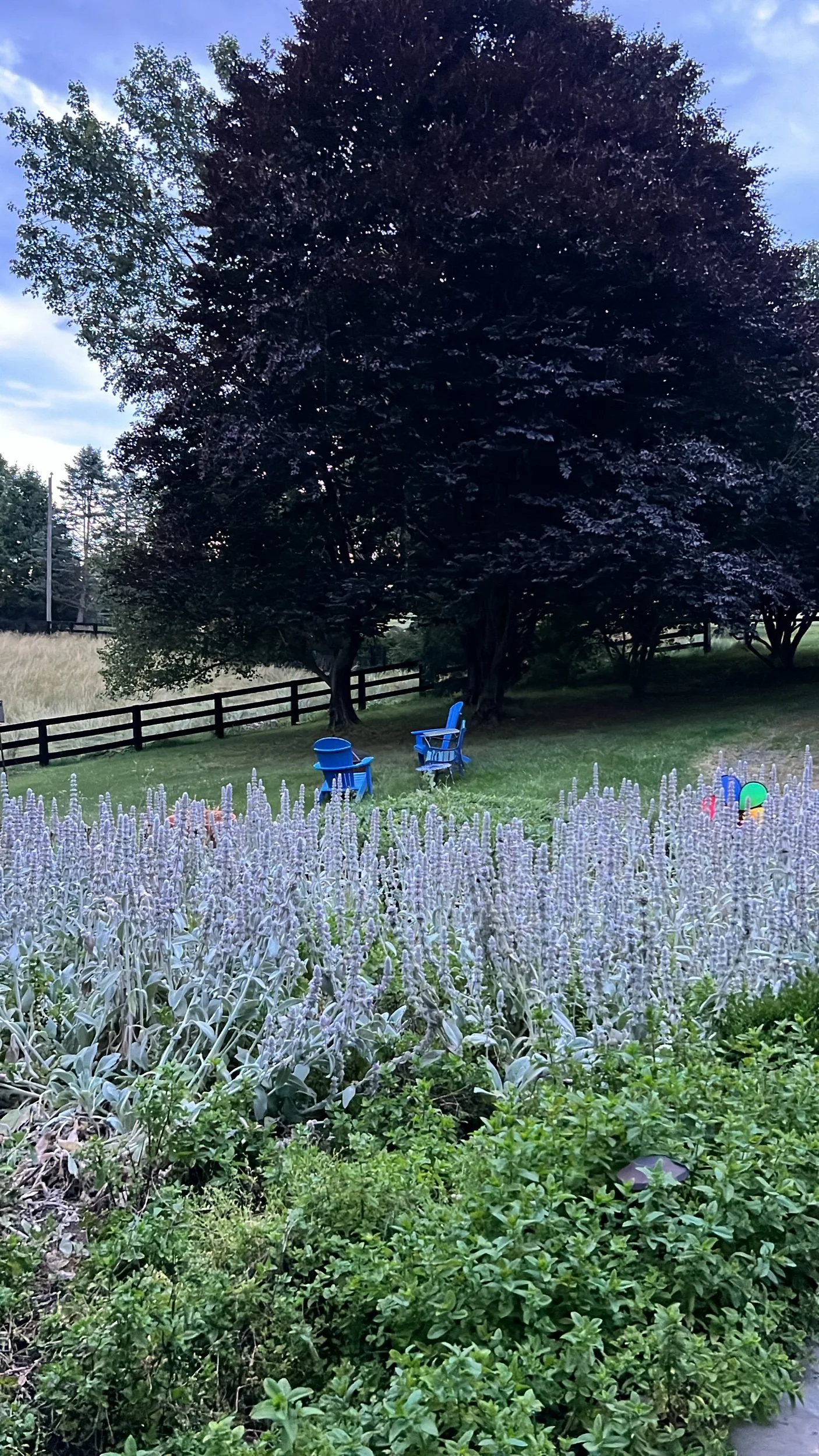 Bed and breakfast inns aren’t for me 