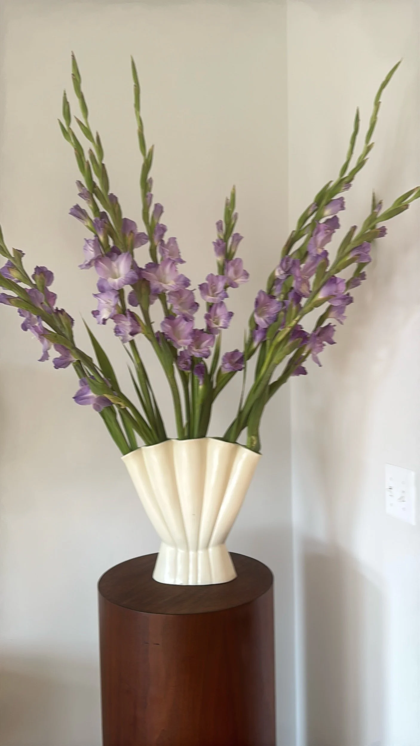 Field notes: Spring ‘25