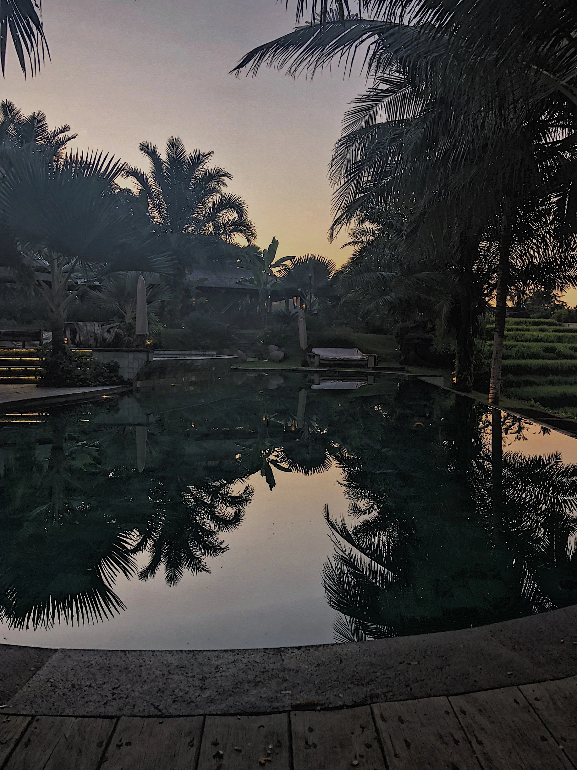 Travel journal series: Bali, Indonesia 2018