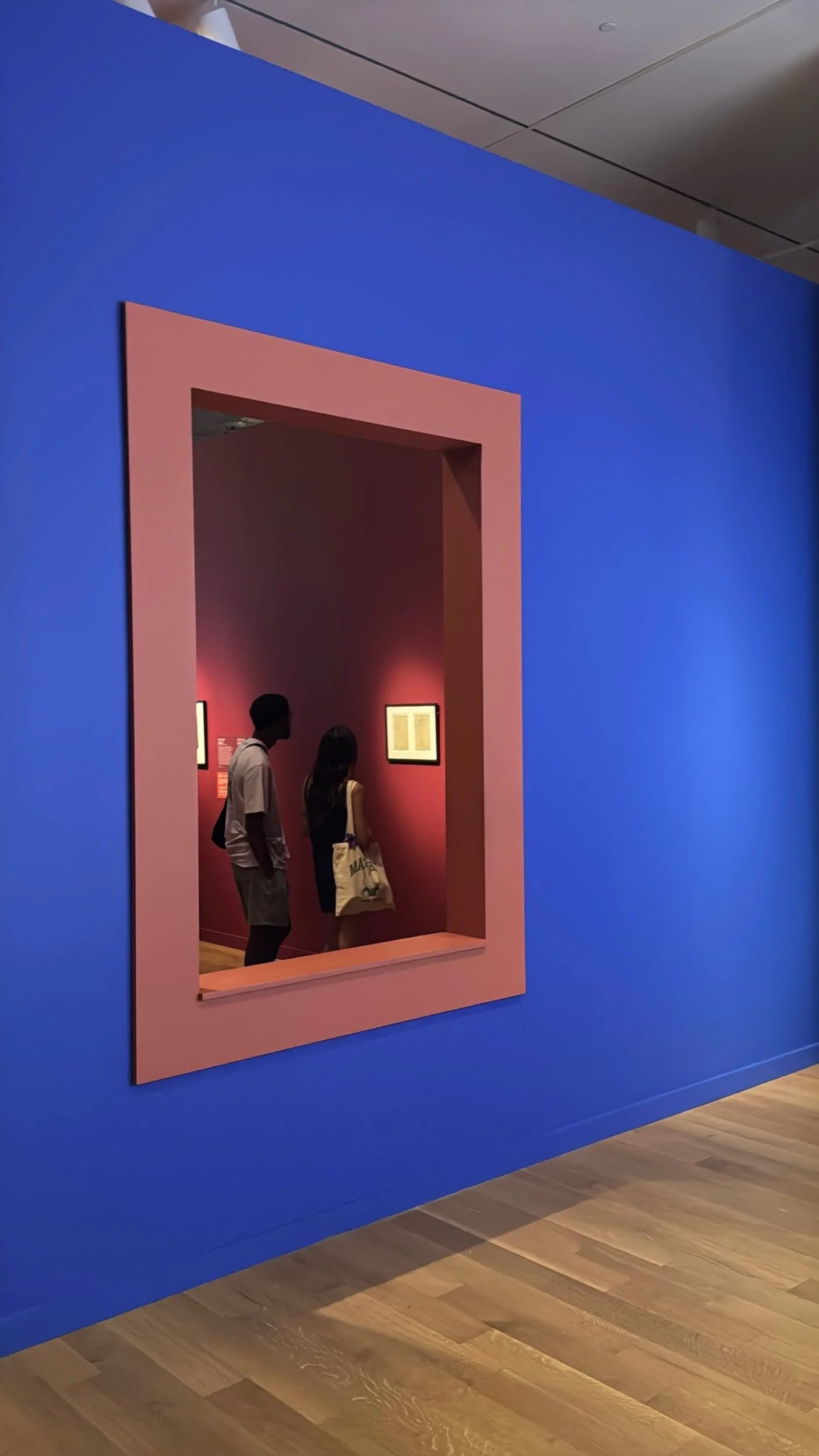 Frida Kahlo Exhibit at the VMFA