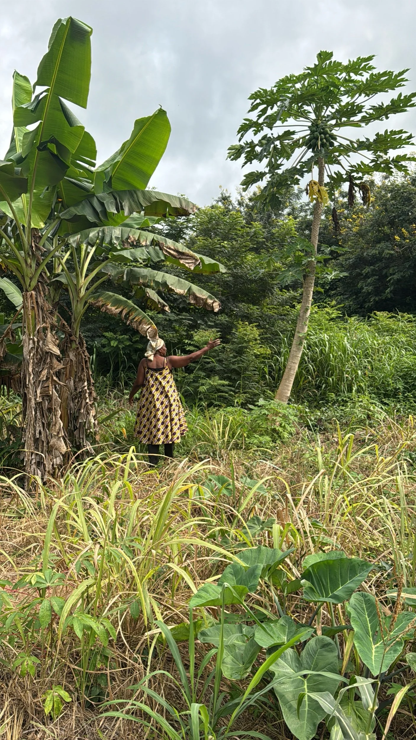 Summering in Ghana 2025