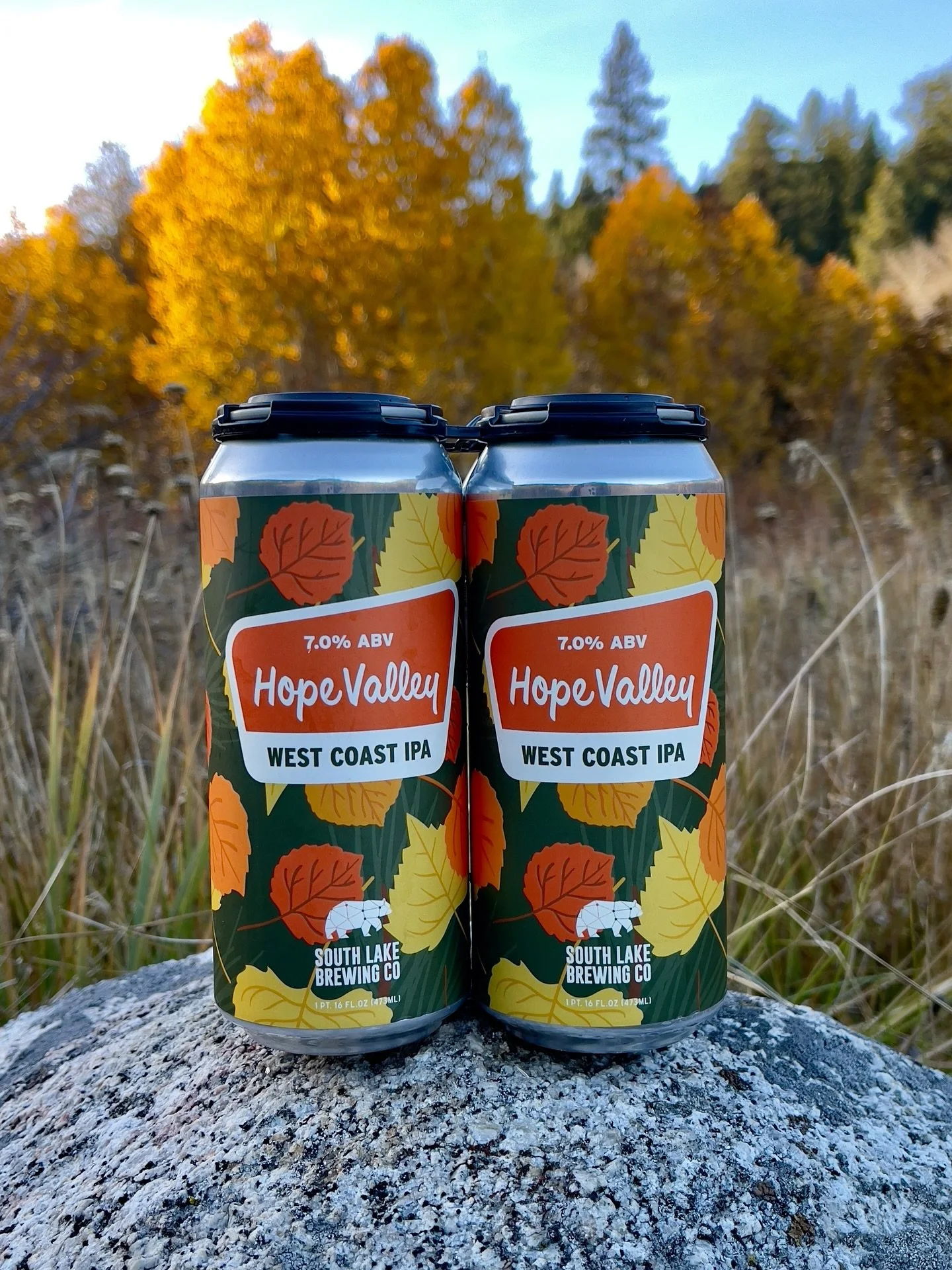 An ode to our favorite place to view the autumn colors in all their glory, Hope Valley is a 7% ABV West Coast IPA brewed for leaf-peeping season. Bright hops, citrus candy notes, and a clean, resinous finish. This one tastes like fall in the Sierra.