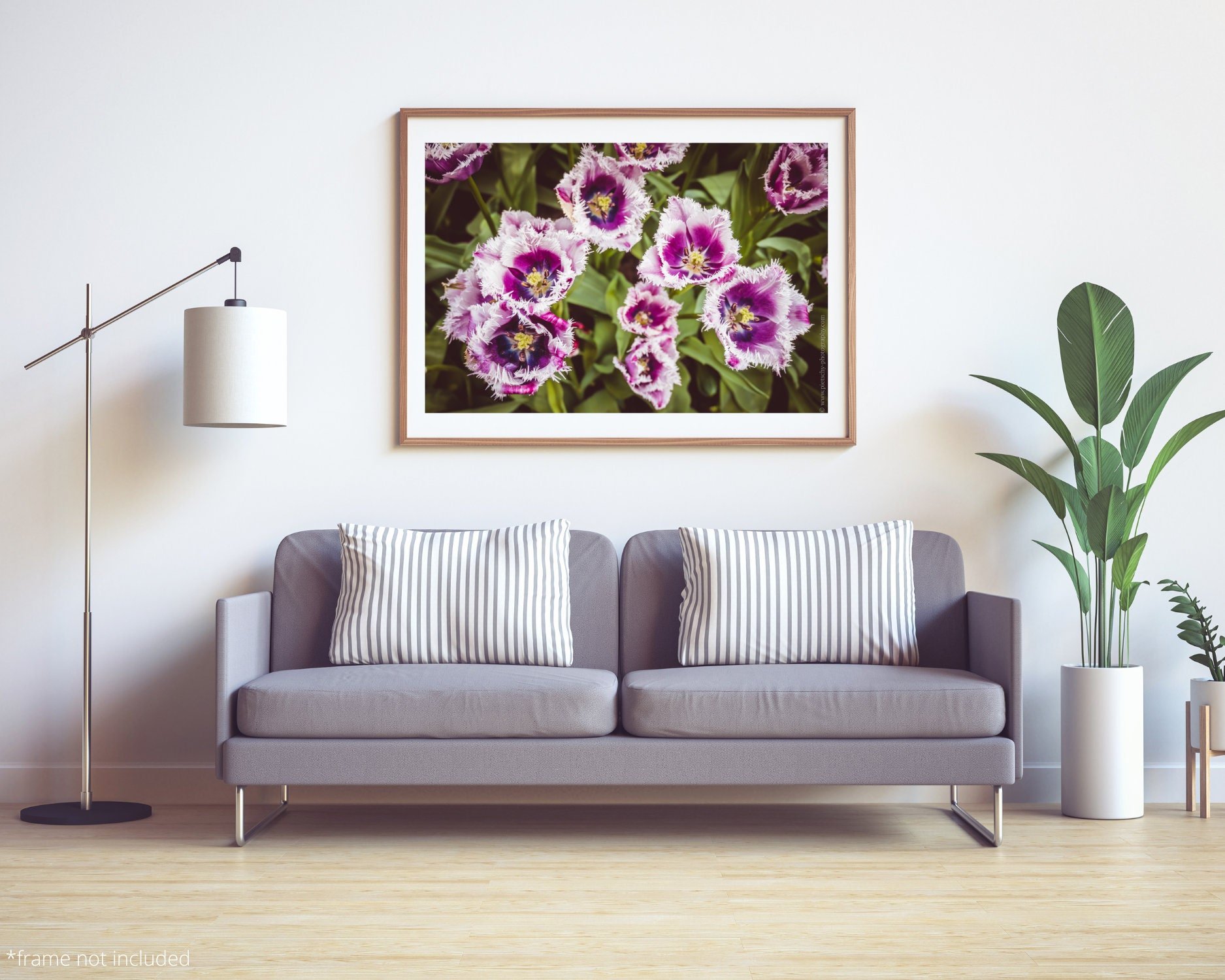 Wall art - Tulips in Keukenhof poster, Netherlands, Amsterdam