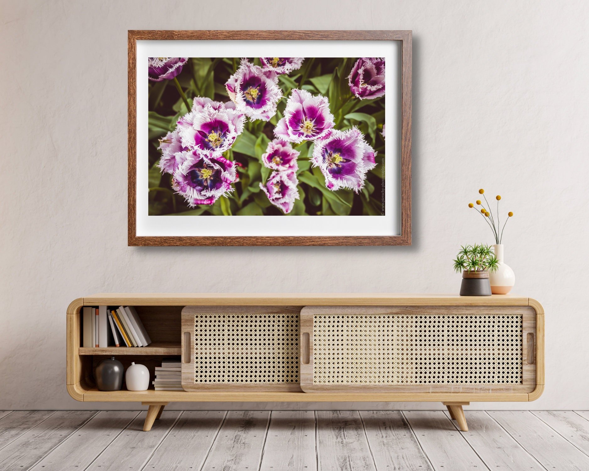 Wall art - Tulips in Keukenhof poster, Netherlands, Amsterdam