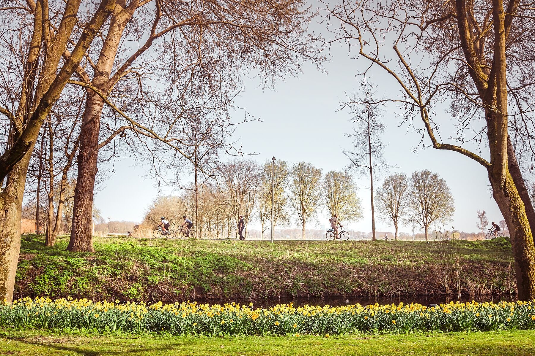 Wall art - Spring in Amsterdam's Amstelpark poster
