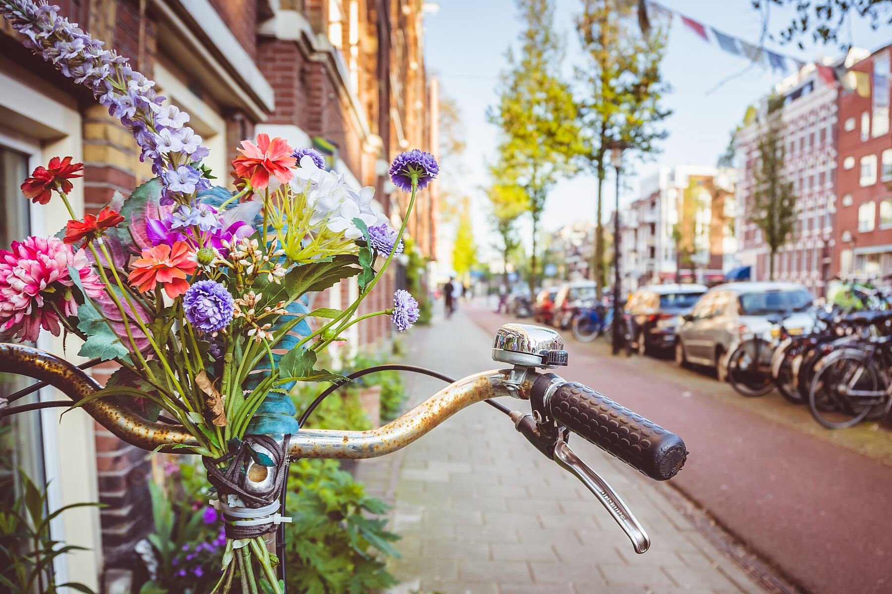 Wall art - Bicycles & Flowers in Amsterdam poster, Netherlands