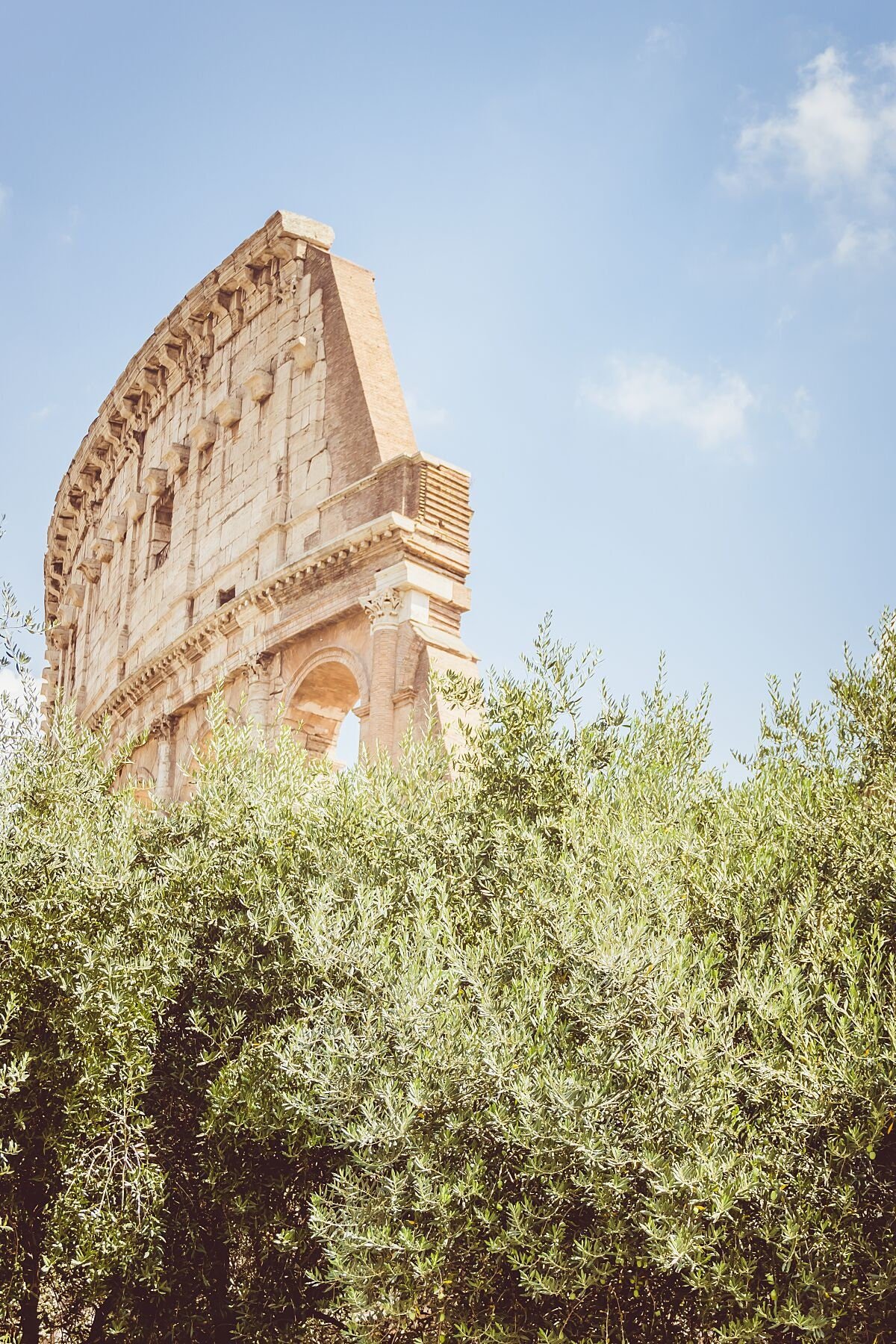Wall art - Colosseum in Rome poster, Italy