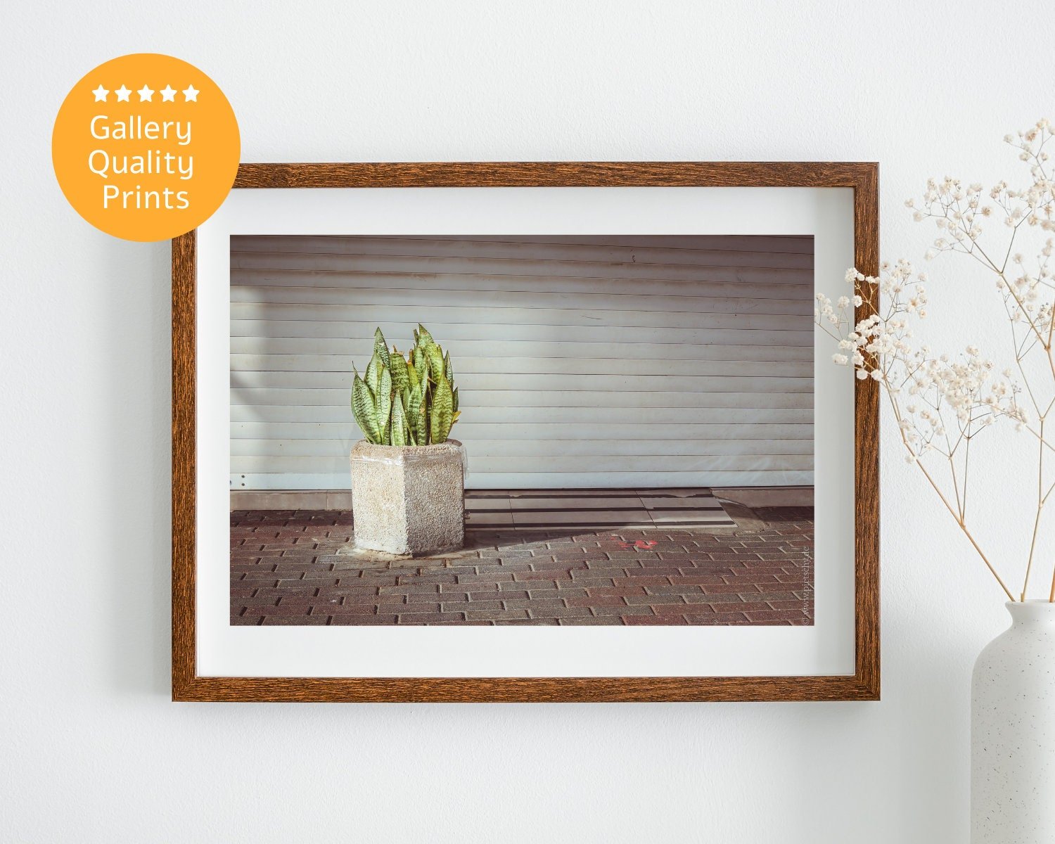 Wall art - Snake plant poster