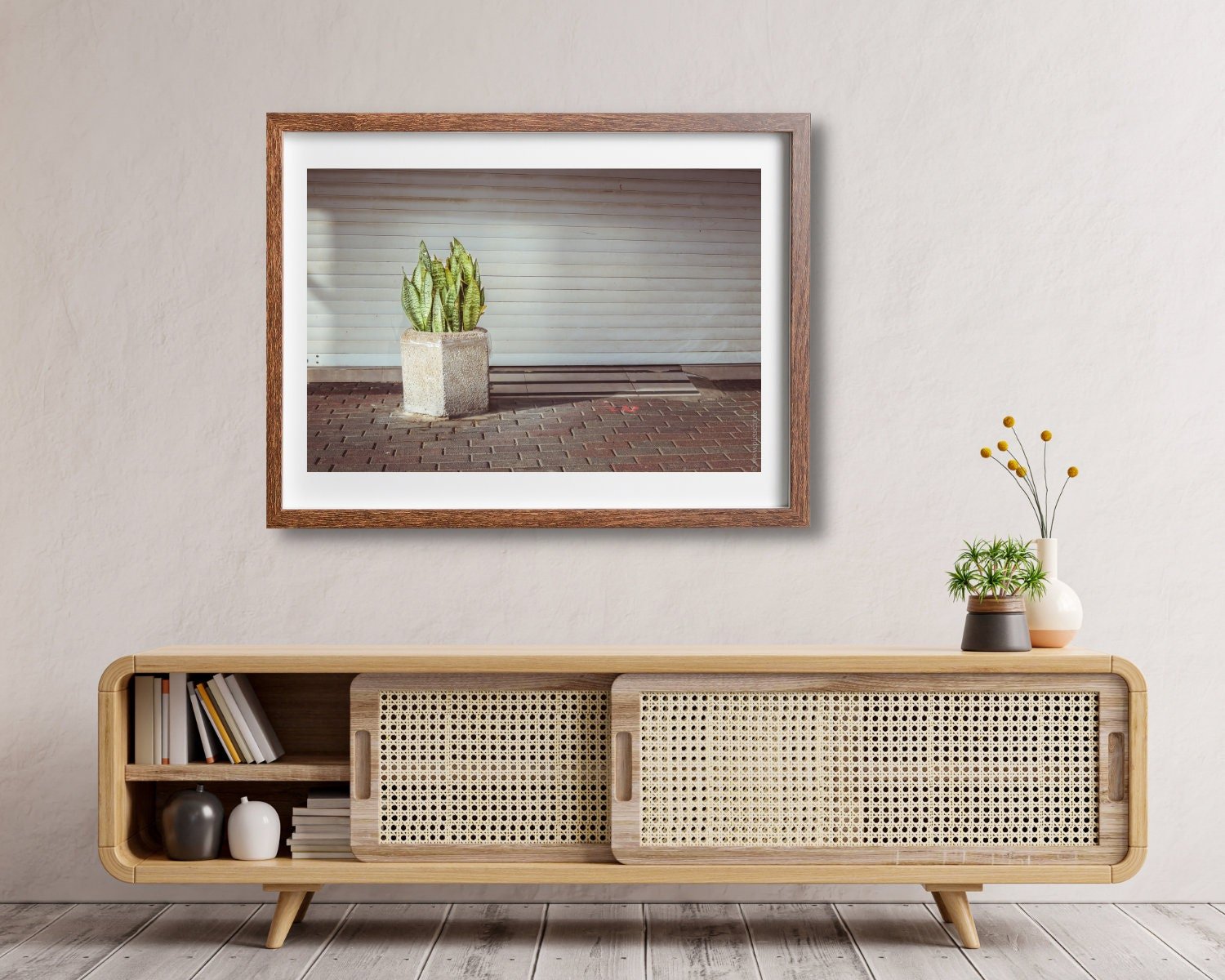 Wall art - Snake plant poster