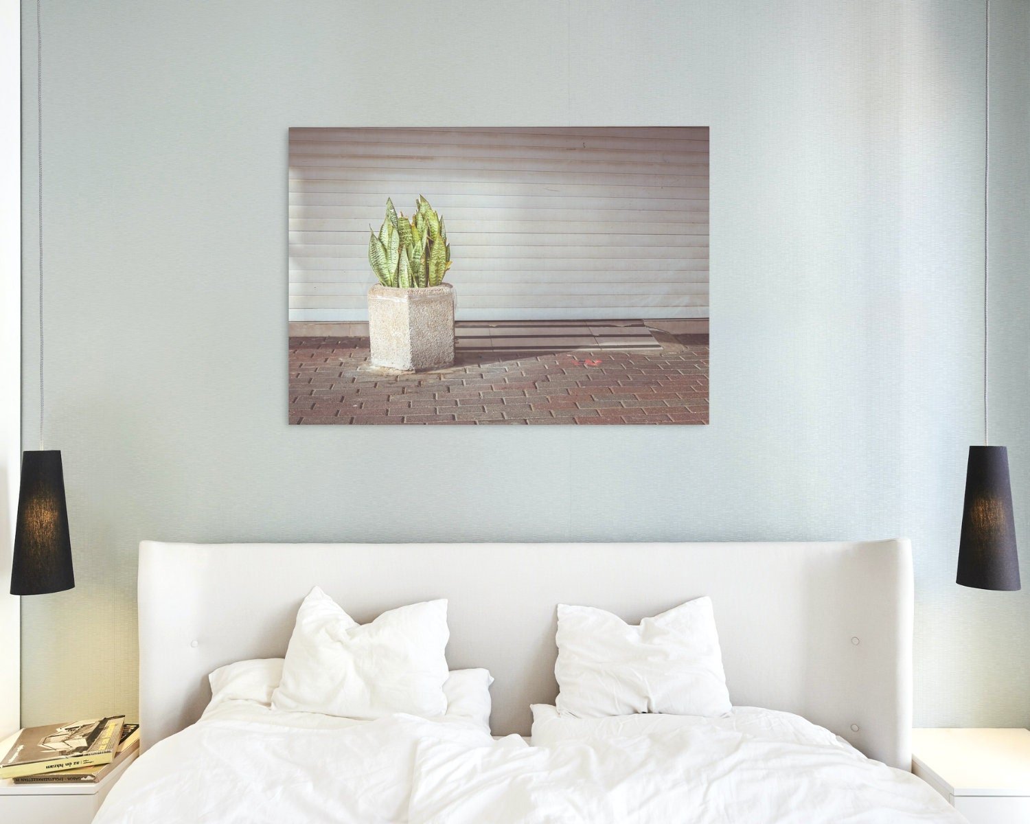Wall art - Snake plant poster
