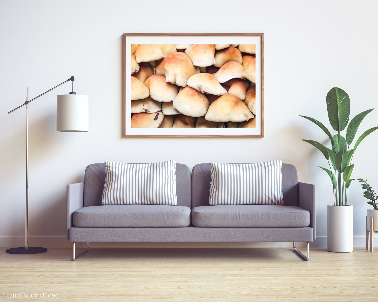 Wall art - Mushroom poster, print