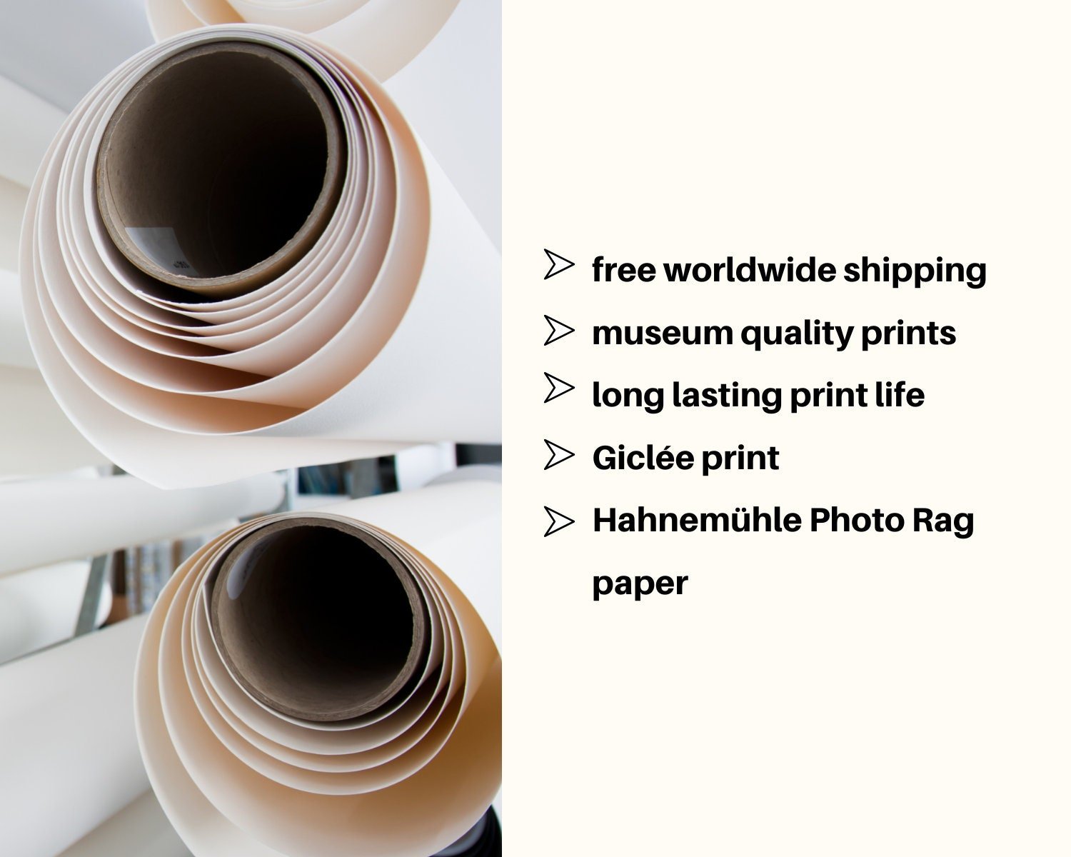 https://i.etsystatic.com/31367650/r/il/8fce8e/4454868157/il_fullxfull.4454868157_is7i.jpg
