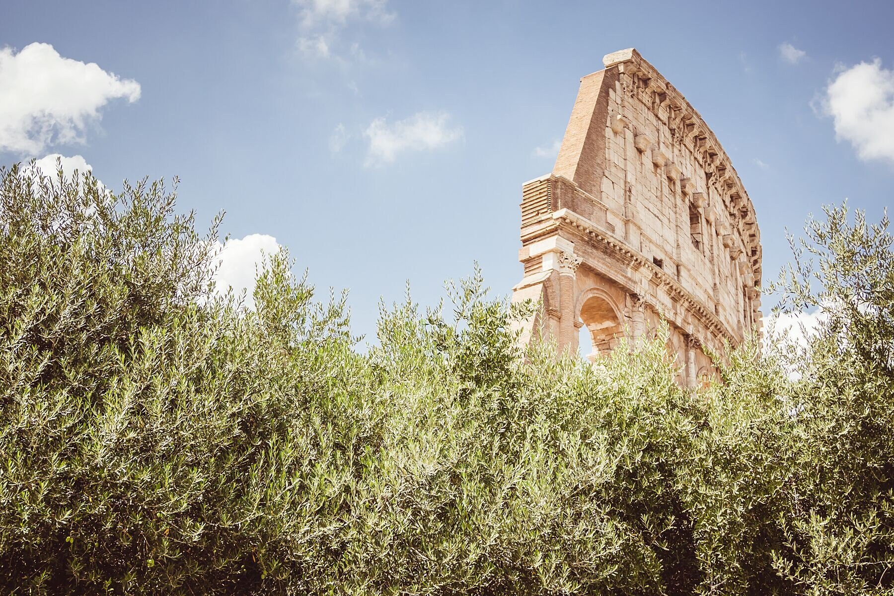 Wall art - Colosseum in Rome poster, Italy