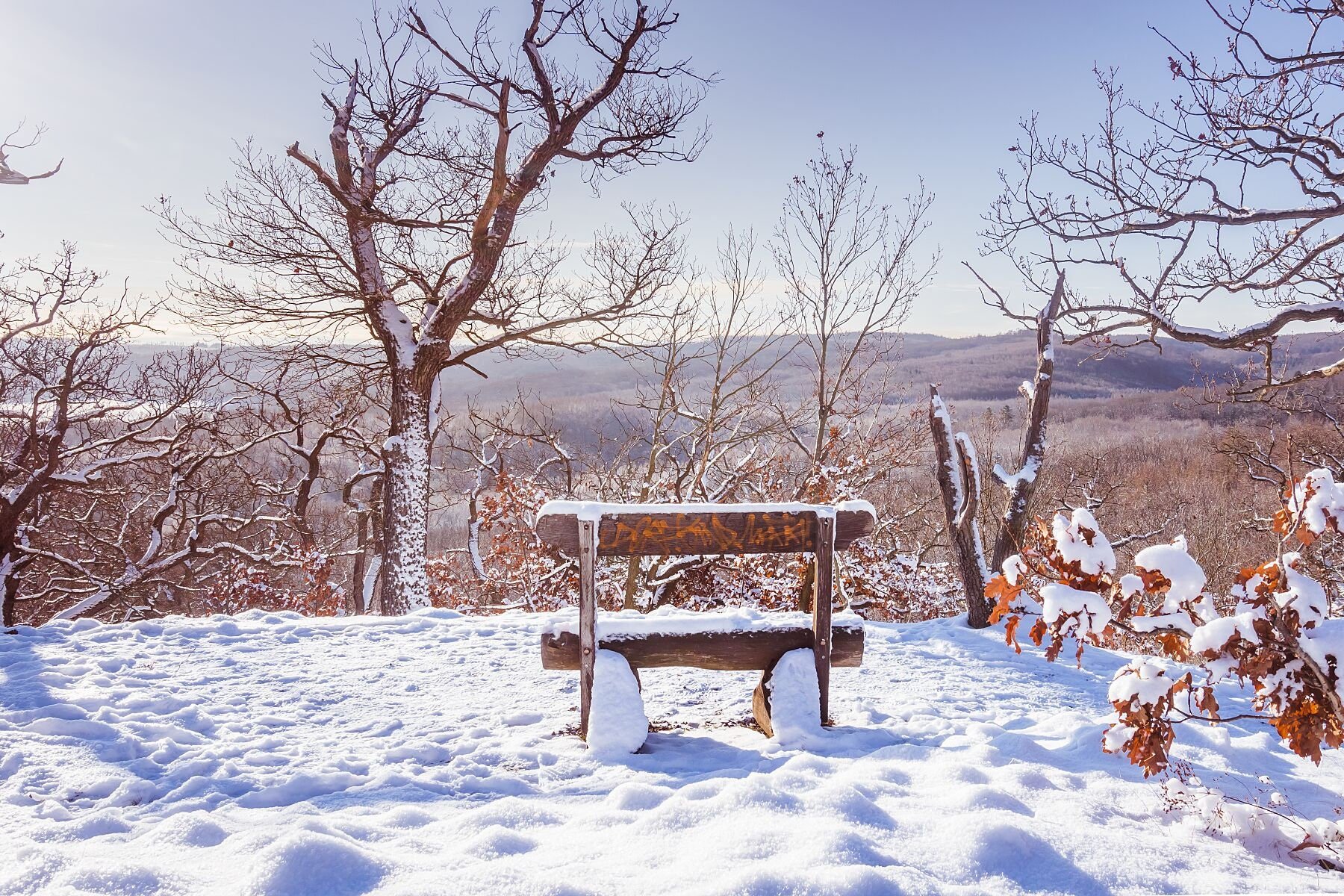 Wall art - Winter wonderland in Germany, Blankenburg, Harz mountains