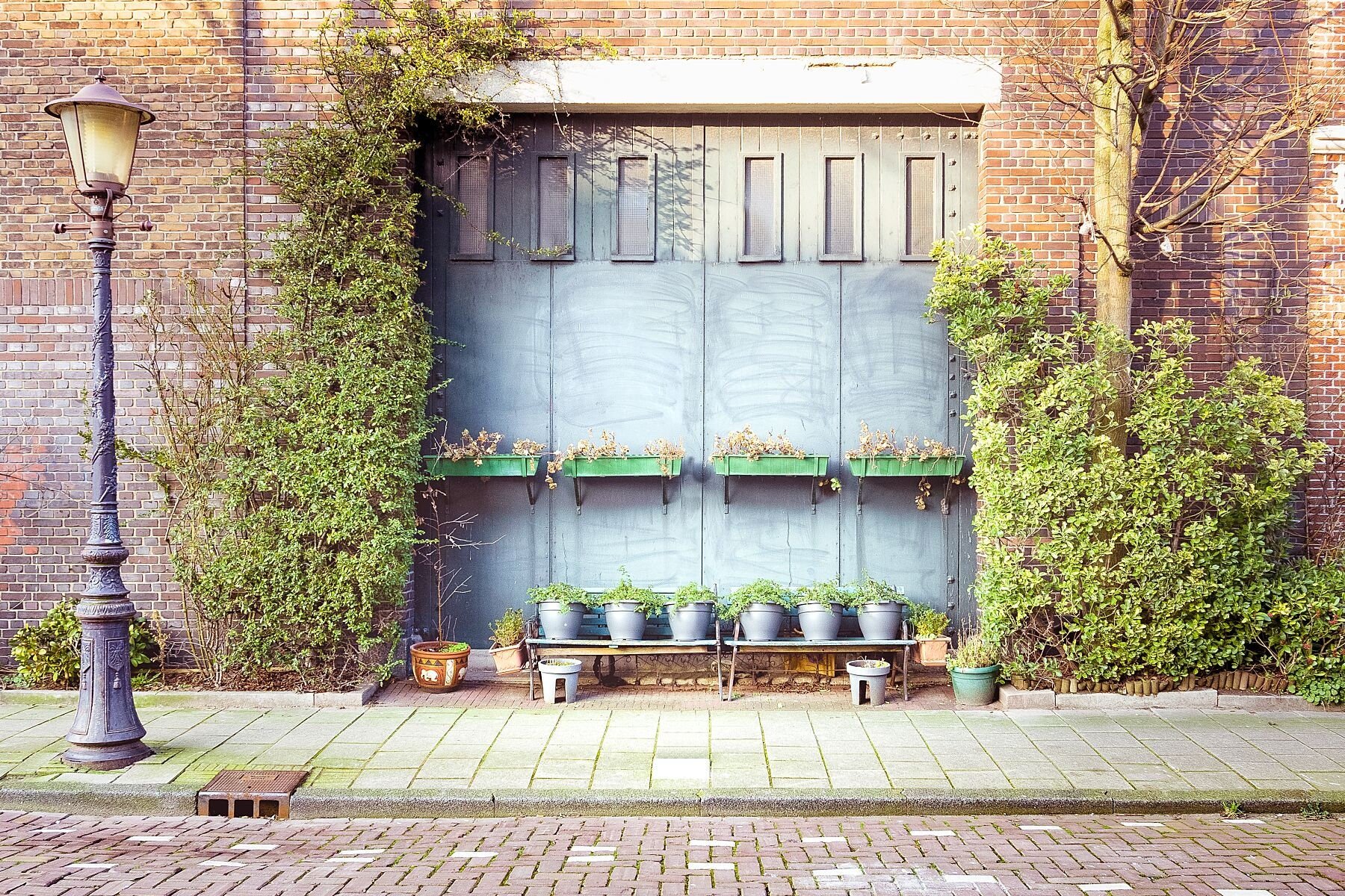 Wall art - Urban gardening in Amsterdam poster