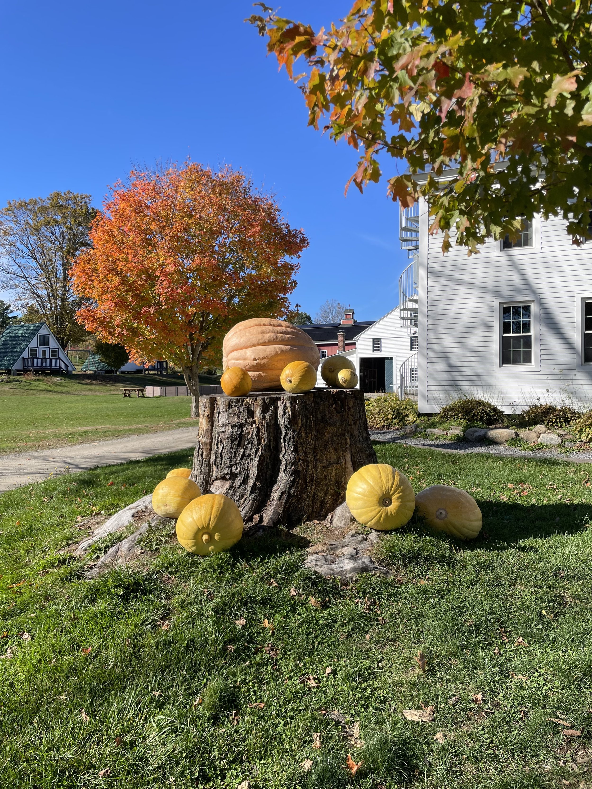 From the Garden to the Mountains: Fall ‘26 Updates