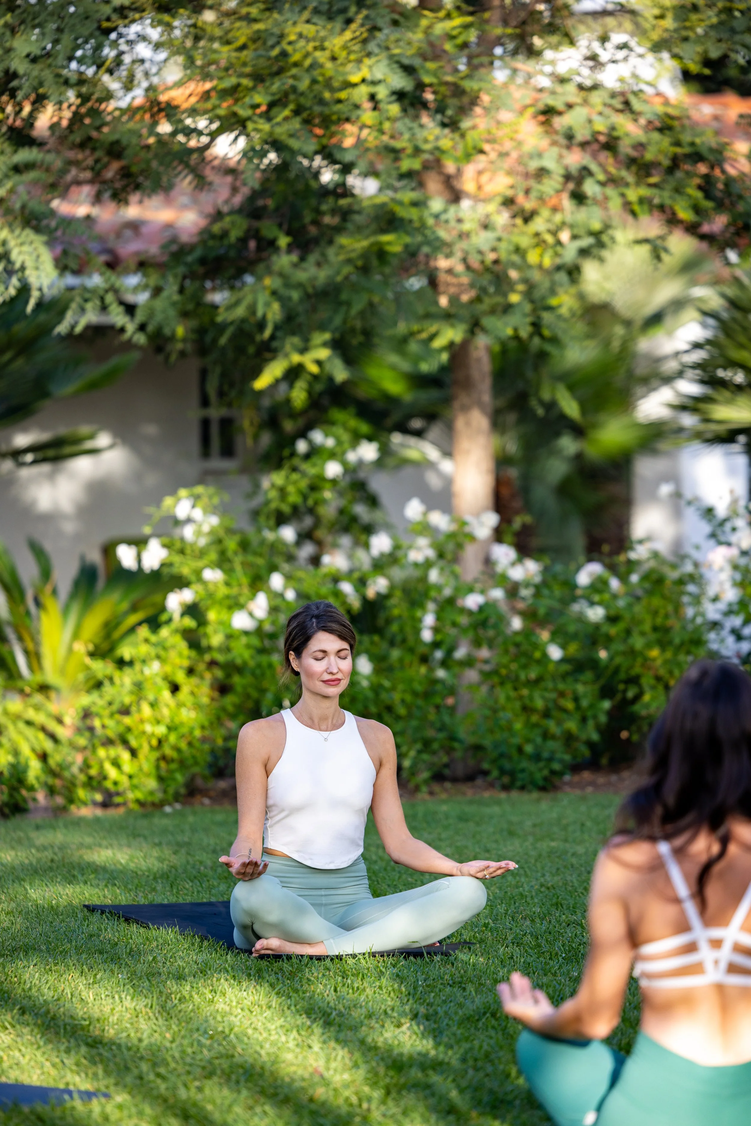IRSF_meditation_AT_1.jpg