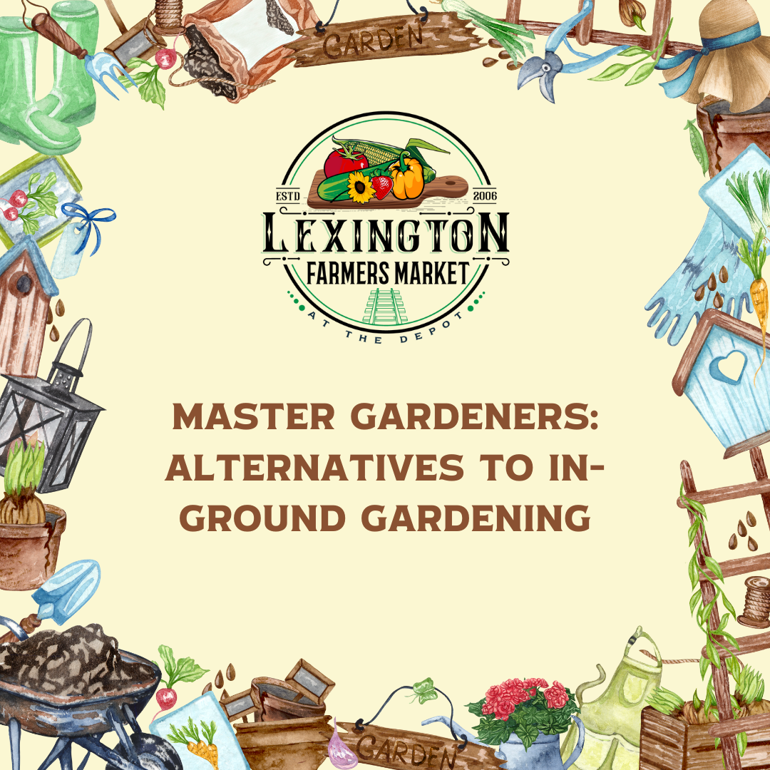Master Gardeners: Alternatives to In-Ground Gardening