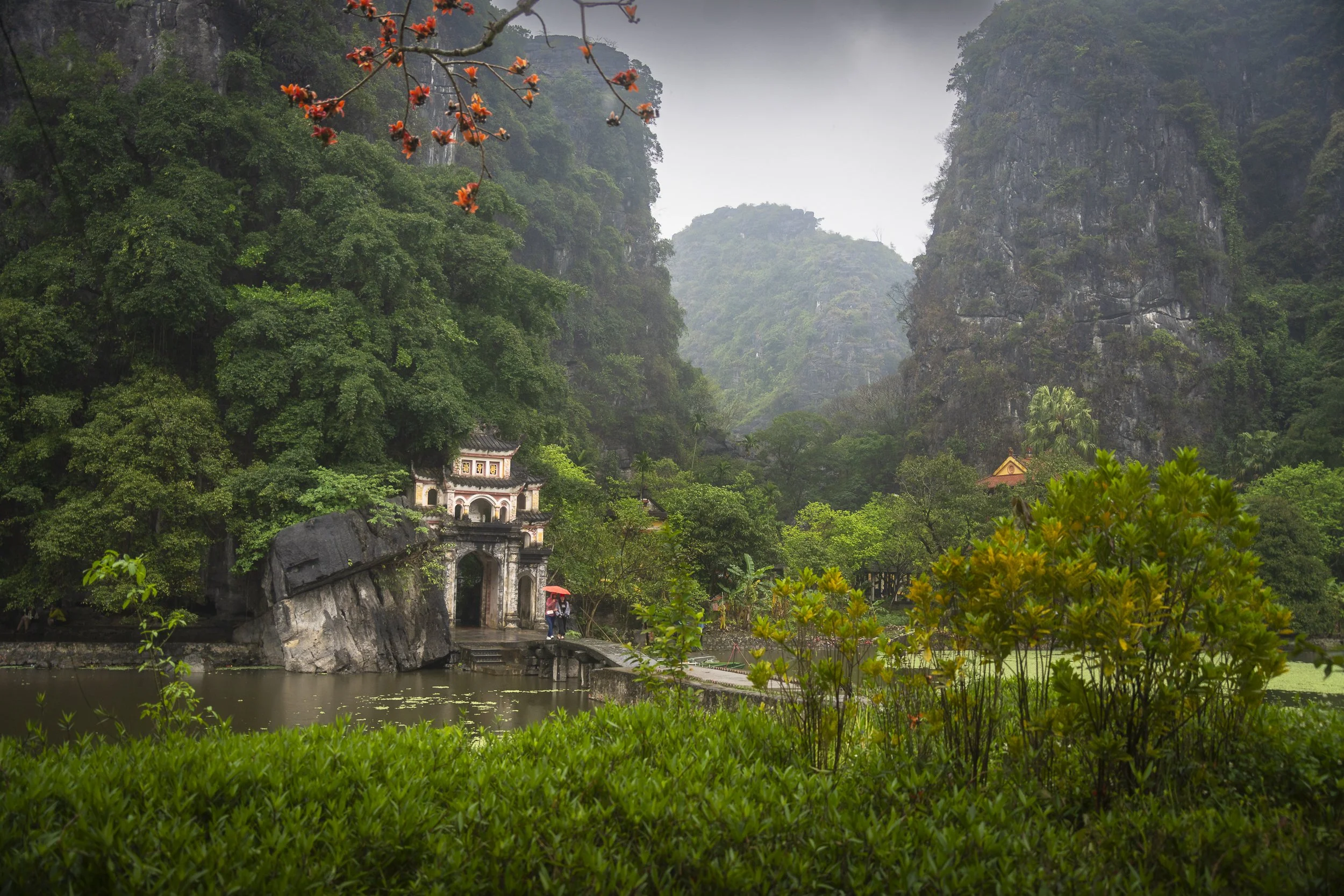 A lush green landscape with towering limestone mountains, a serene pond, and traditional architecture in Vietnam, with a bridge and visitors holding umbrellas.