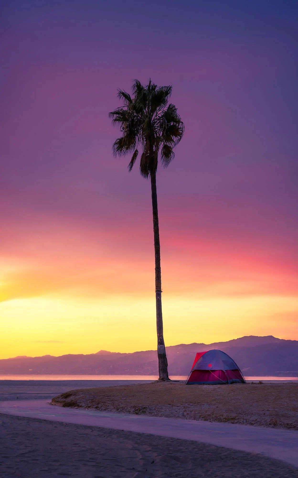 A tall palm tree next to a red and gray camping tent on a beach at sunset, with mountains in the background and vibrant purple and orange sky.