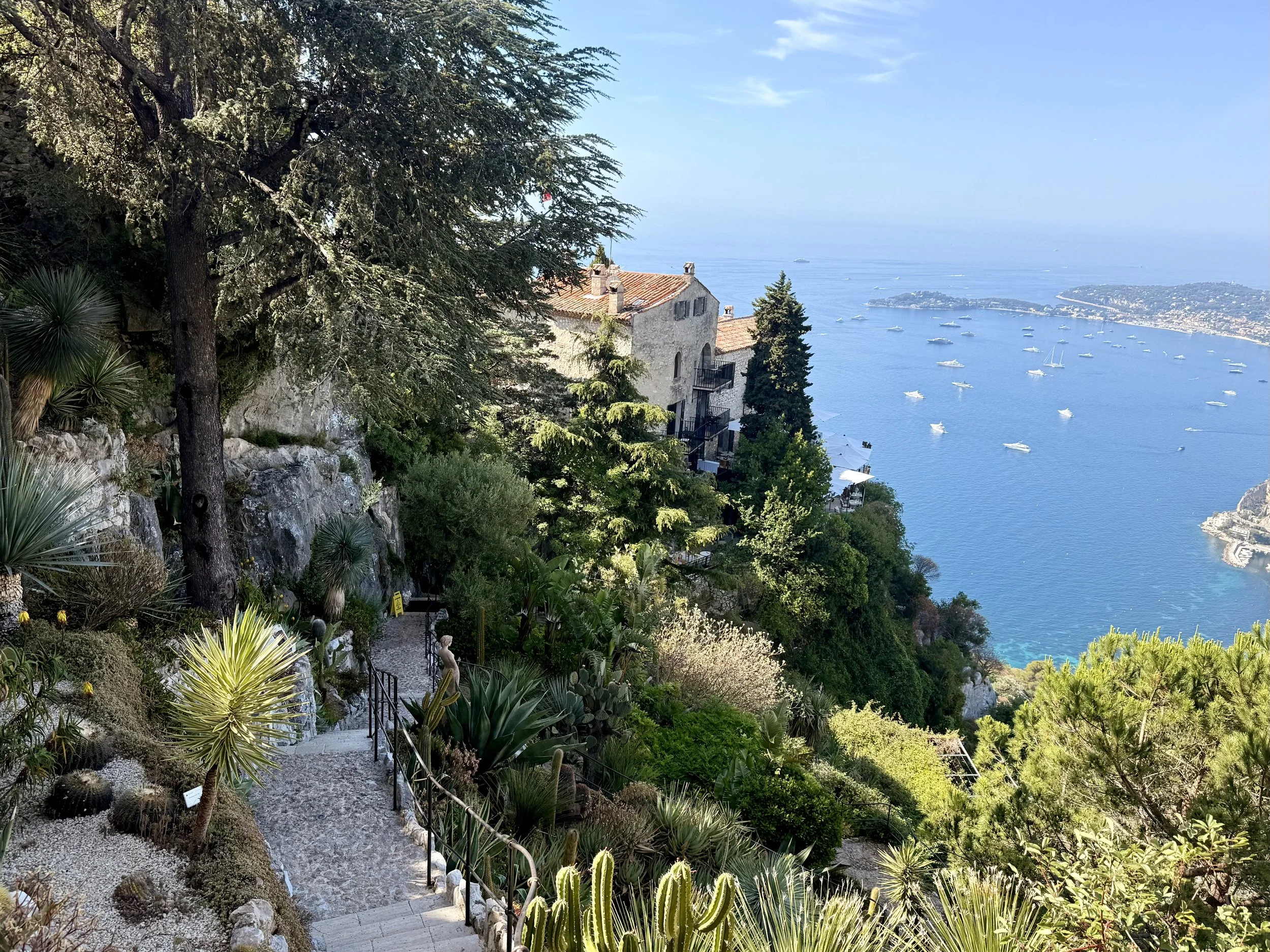 IMG_5053.jpeg
