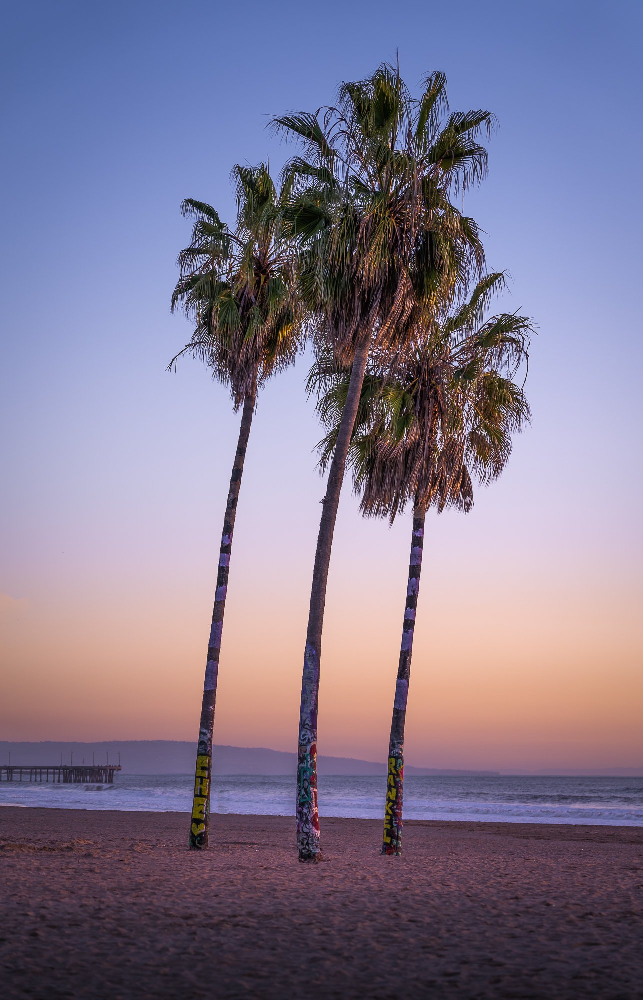 Three painted palm trees on a beach during sunset with a pier in the background.