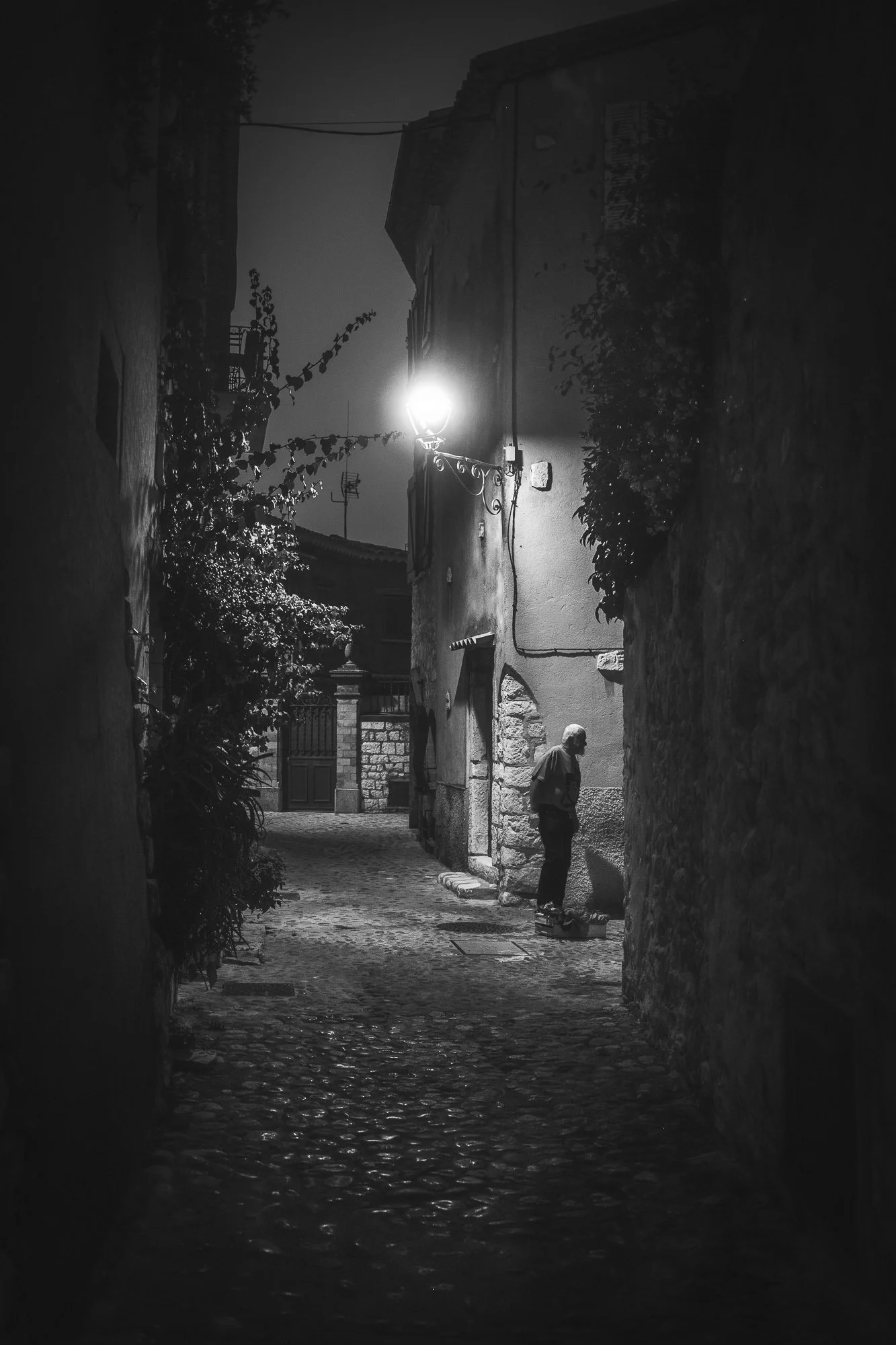 DSCF8629.jpg