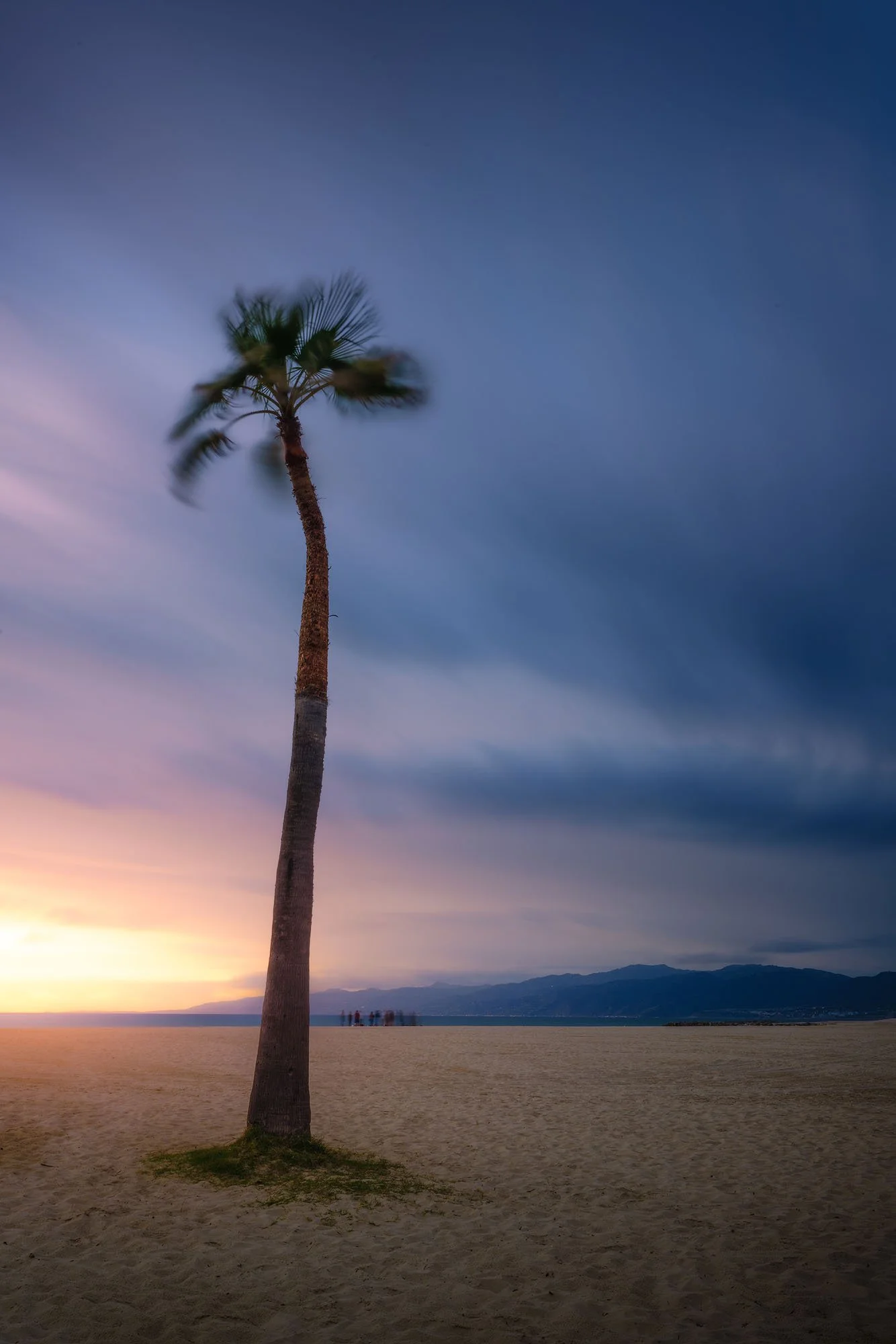A solitary palm tree on a sandy beach at sunset with distant mountains and a cloudy sky in the background.