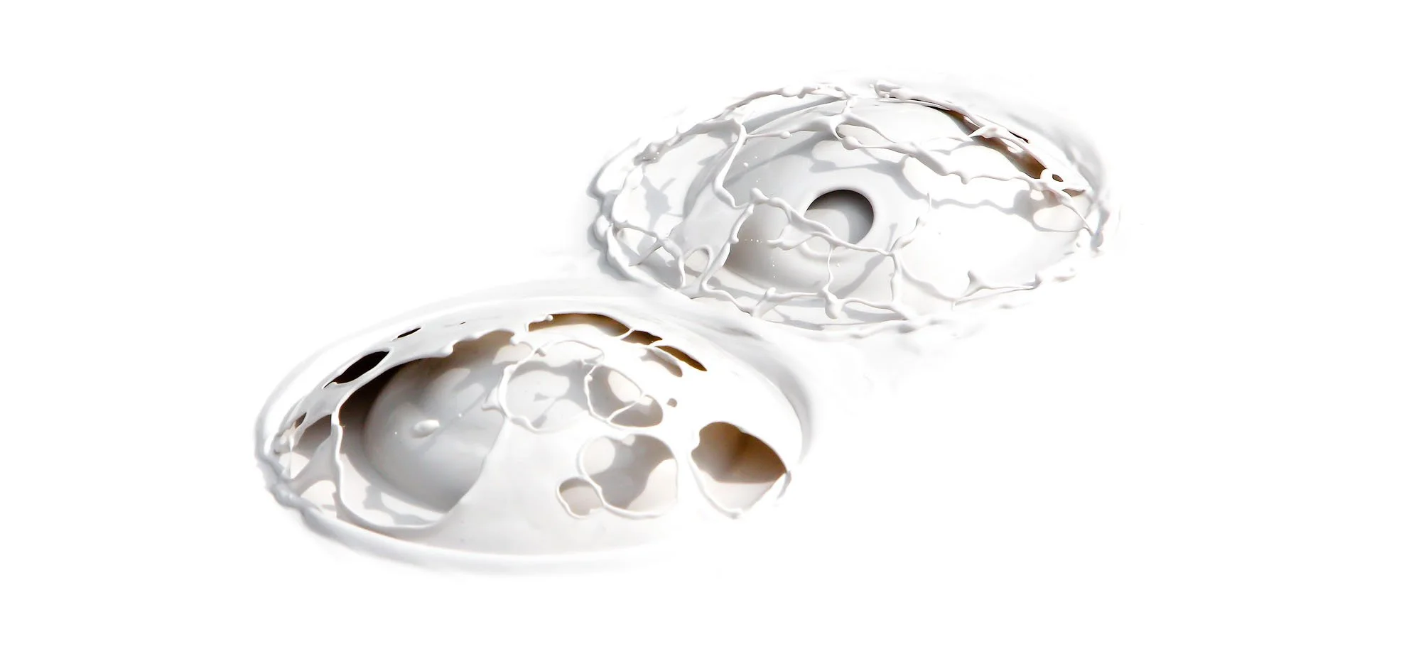 Two white, abstract ceramic sculptures resembling hollow, perforated shells with circular holes and irregular tree branch-like patterns, set against a plain white background.